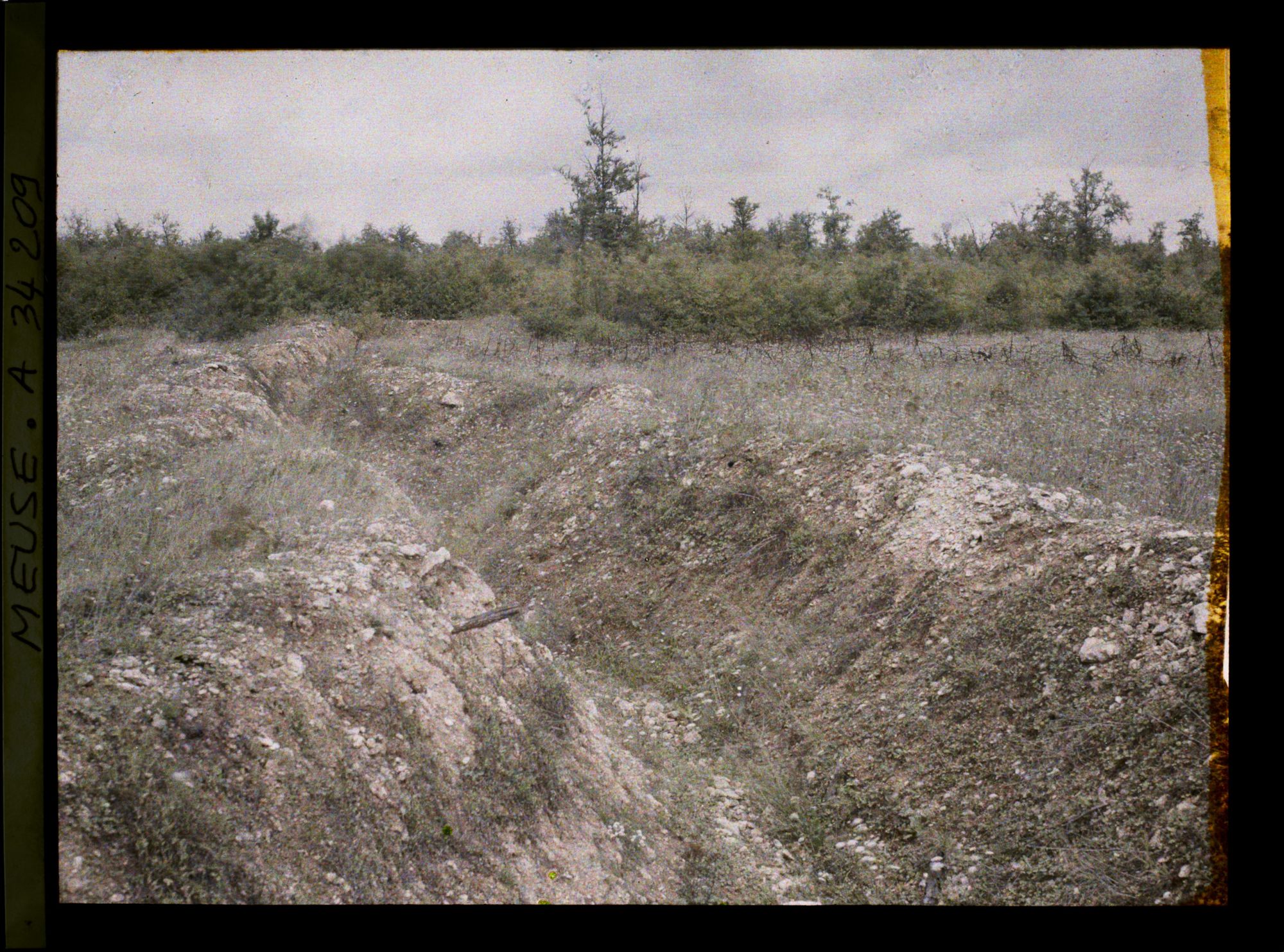 Image représentant France, La Tête à Vache, Tranchée au bois de la Corvée des Prêtres