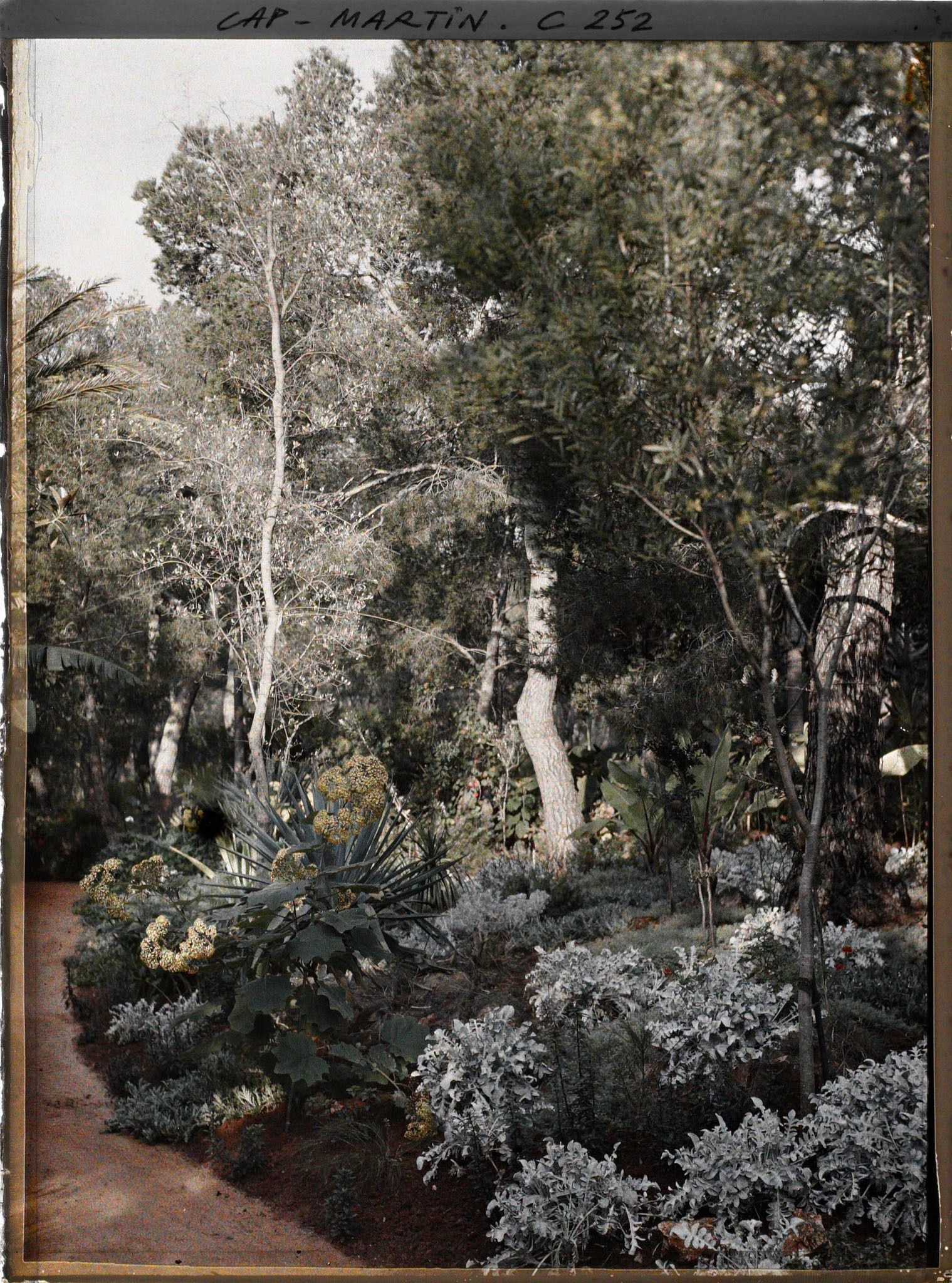 Image représentant Cap-Martin - Le Jardin