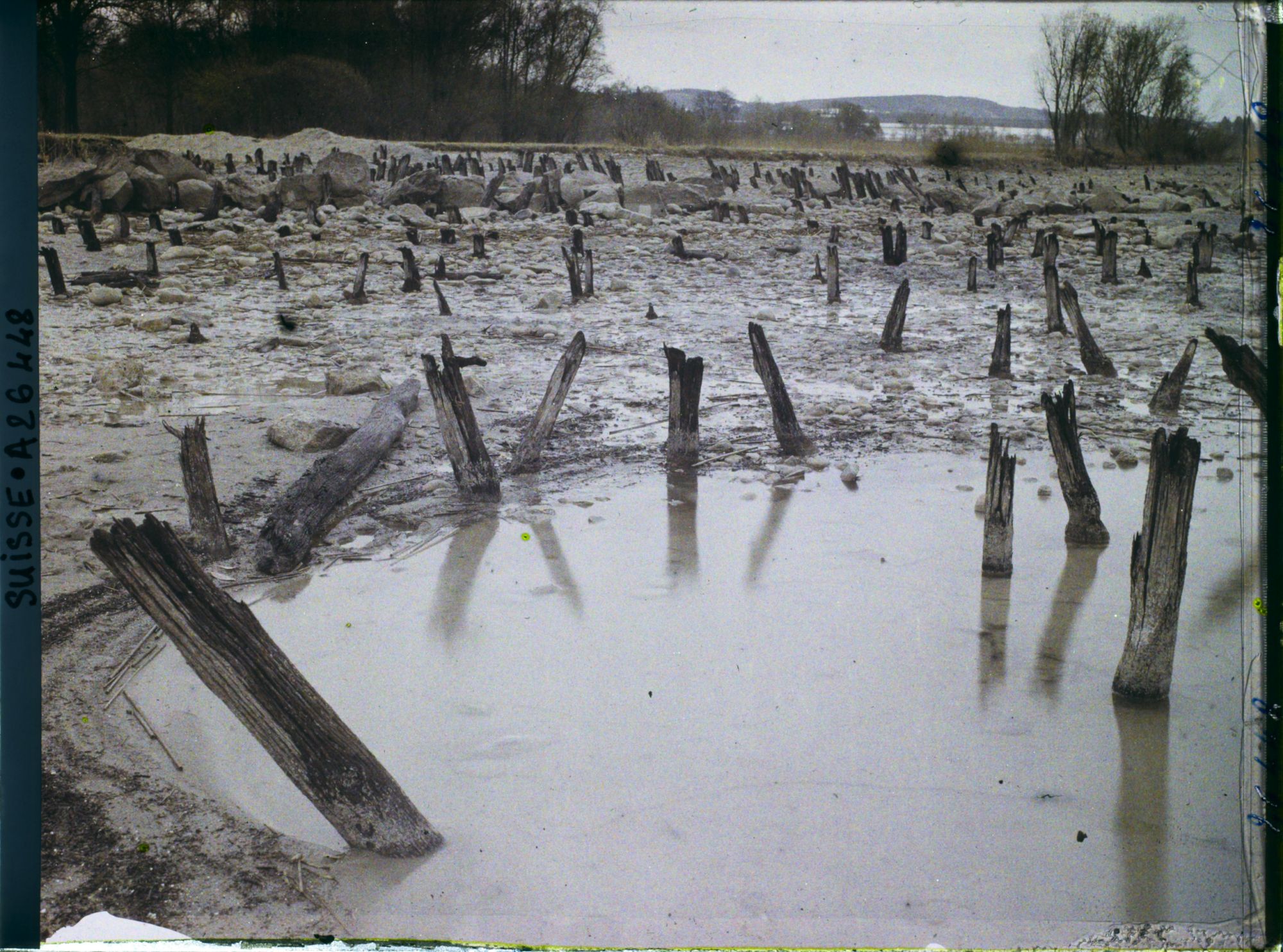 Image représentant Site palafittique préhistorique des Alpes, pieux en bois visibles lors de la baisse des eaux après la grande sécheresse de 1921