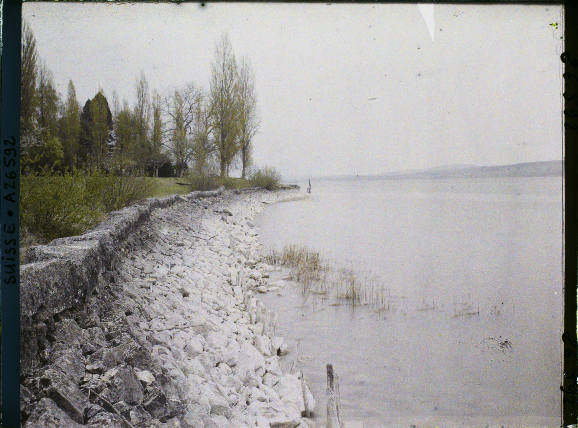 Image représentant Les berges de l'île Saint-Pierre