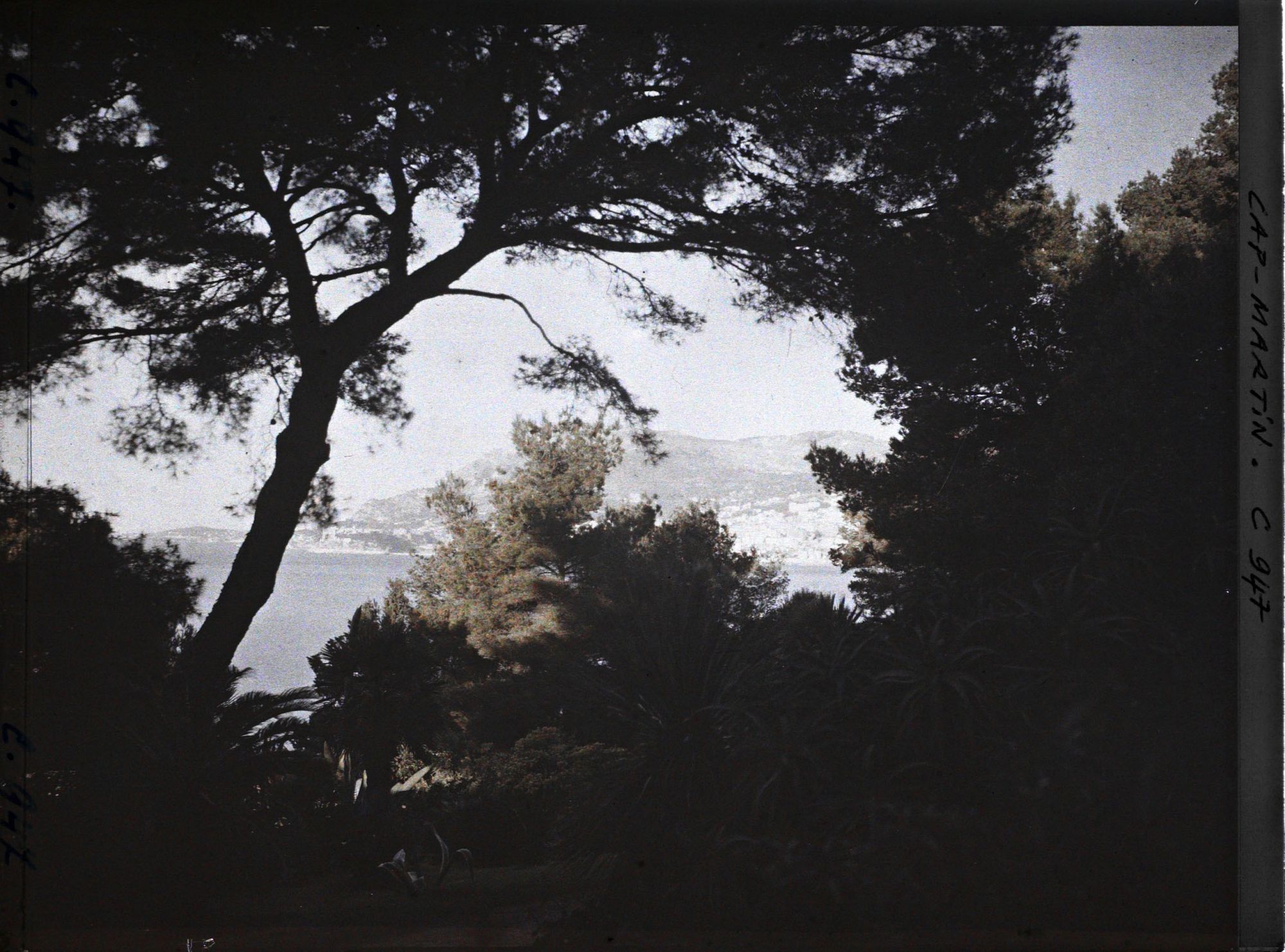 Image représentant Le Jardin (matin)