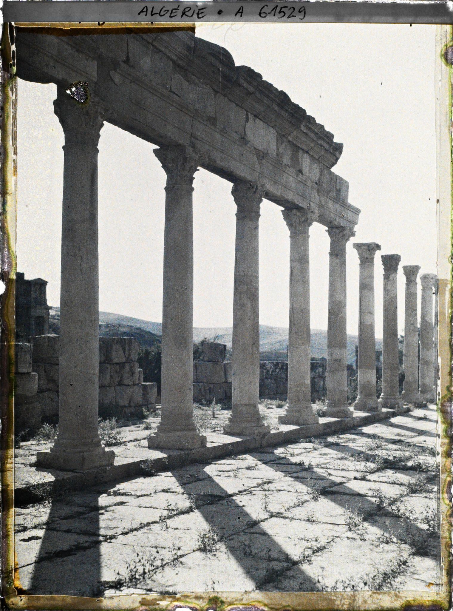 Image représentant Colonnades du pourtour du Grand Temple, vestiges de la cité antique Cuicul