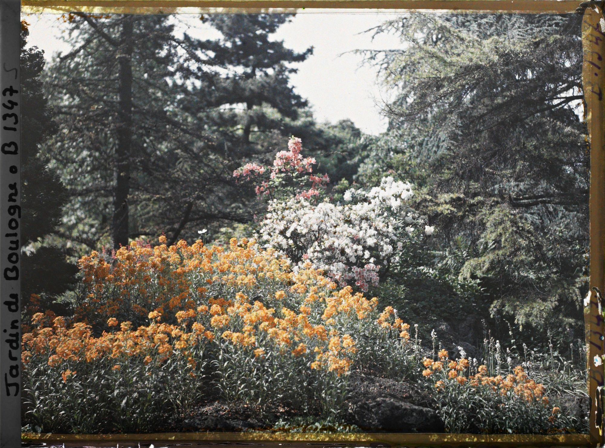 Image représentant Massif fleuri du " sanctuaire japonais " situé entre le " village japonais " et le sorinto