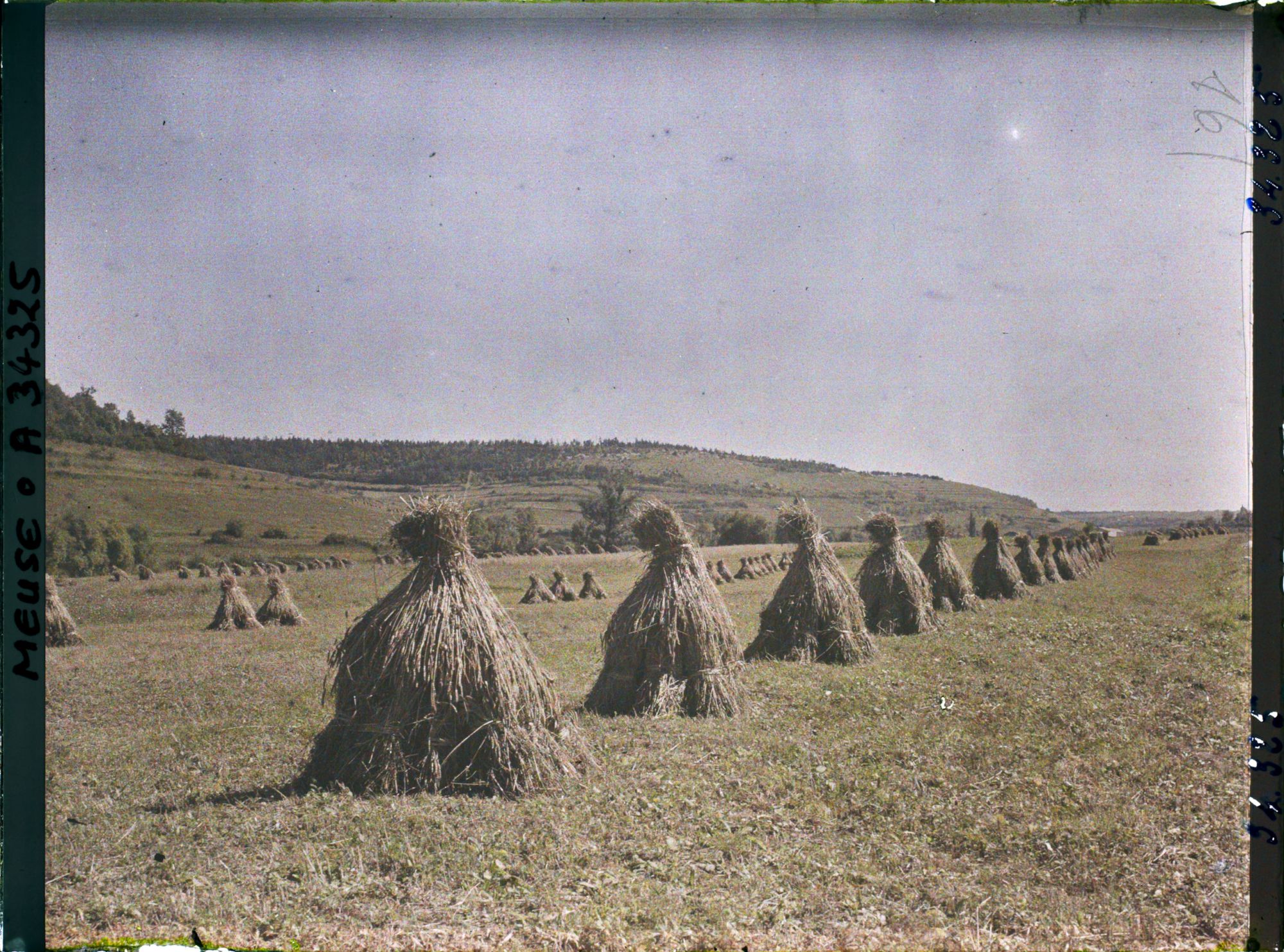 Image représentant France, Les Eparges, Moissons au pied des Eparges à gauche, et la Crête de Combres au fond.