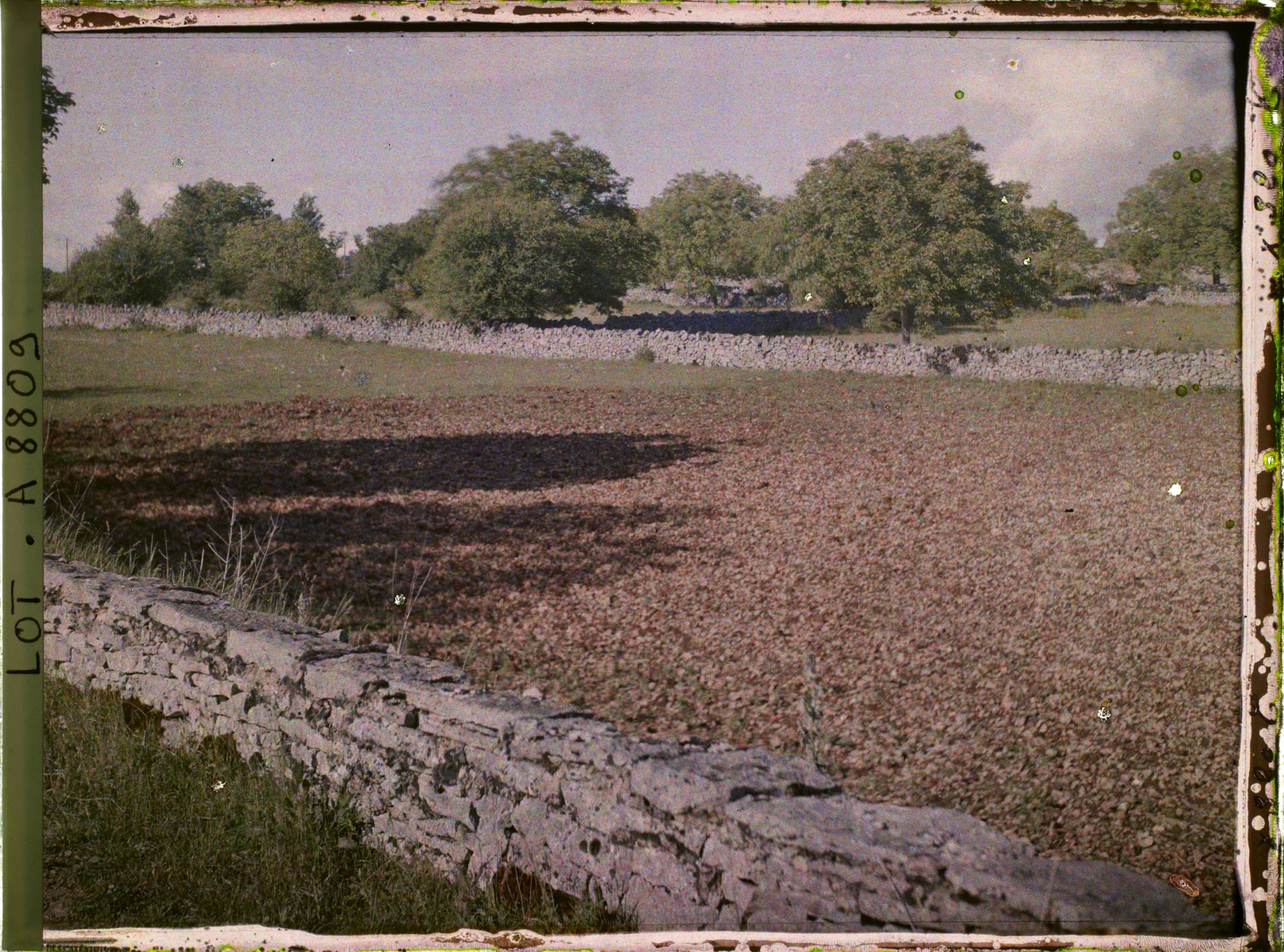 Image représentant France, Alvignac, La terre caillouteuse du Causse Jurassique avec murs en pierres sèches