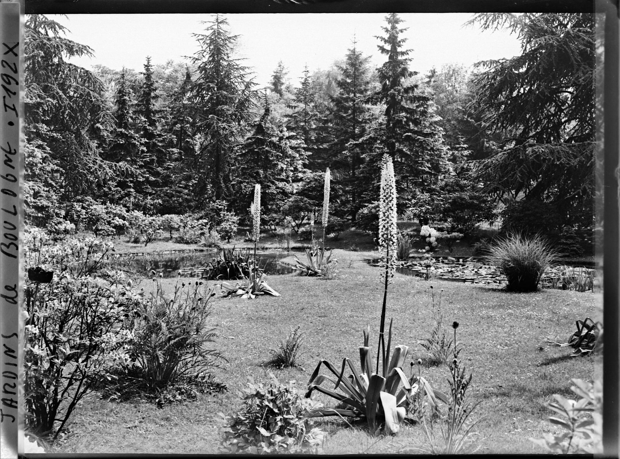 Image représentant Le marais