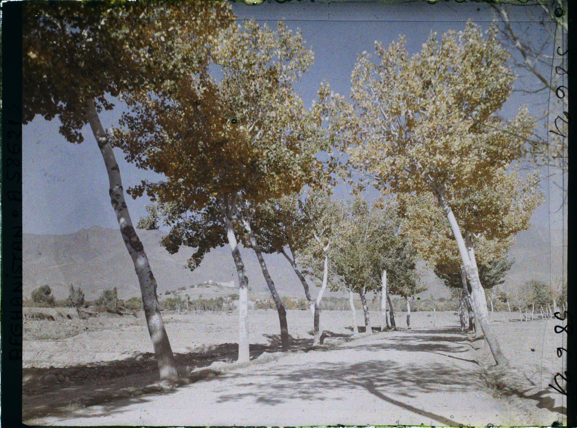 Image représentant Afghanistan, Kaboul, La route de Paghman Kaboul, autre aspect