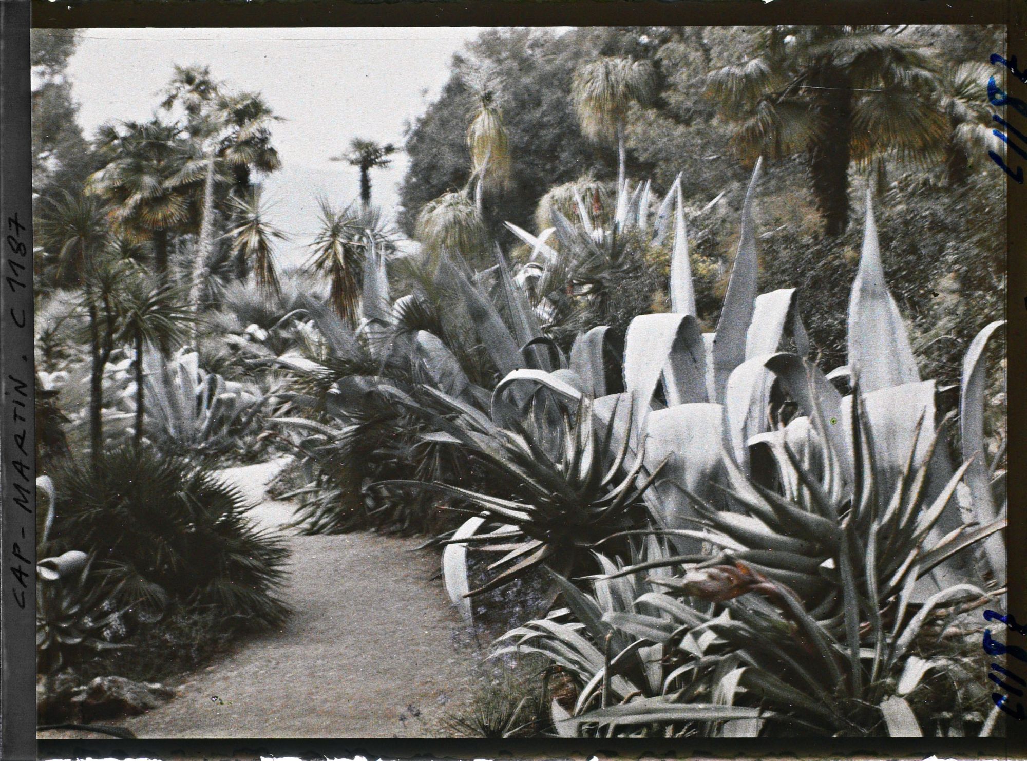 Image représentant le Jardin