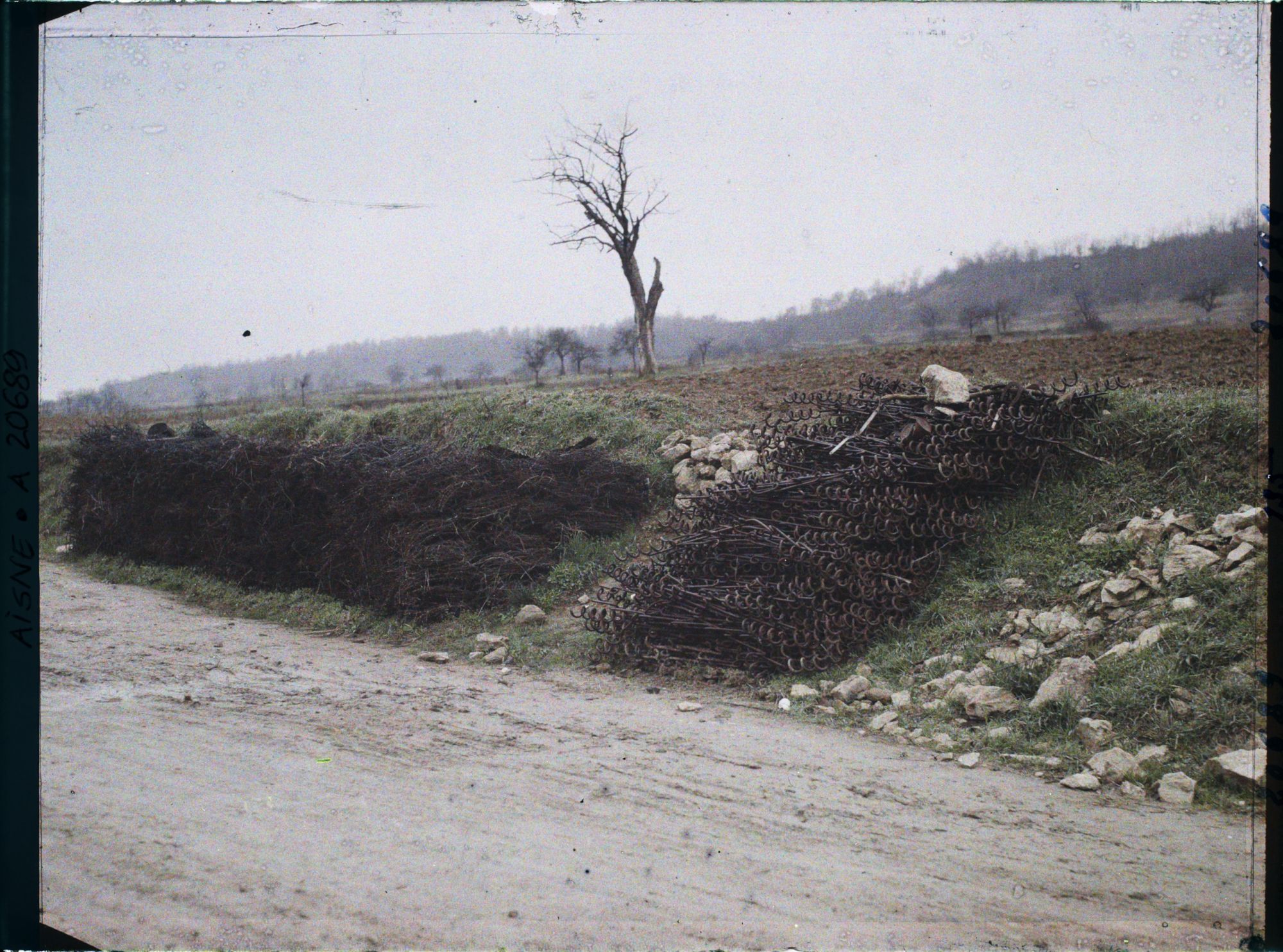 Image représentant France, Condé s/Aisne, Barbelés le long de la route, enlevés des Champs