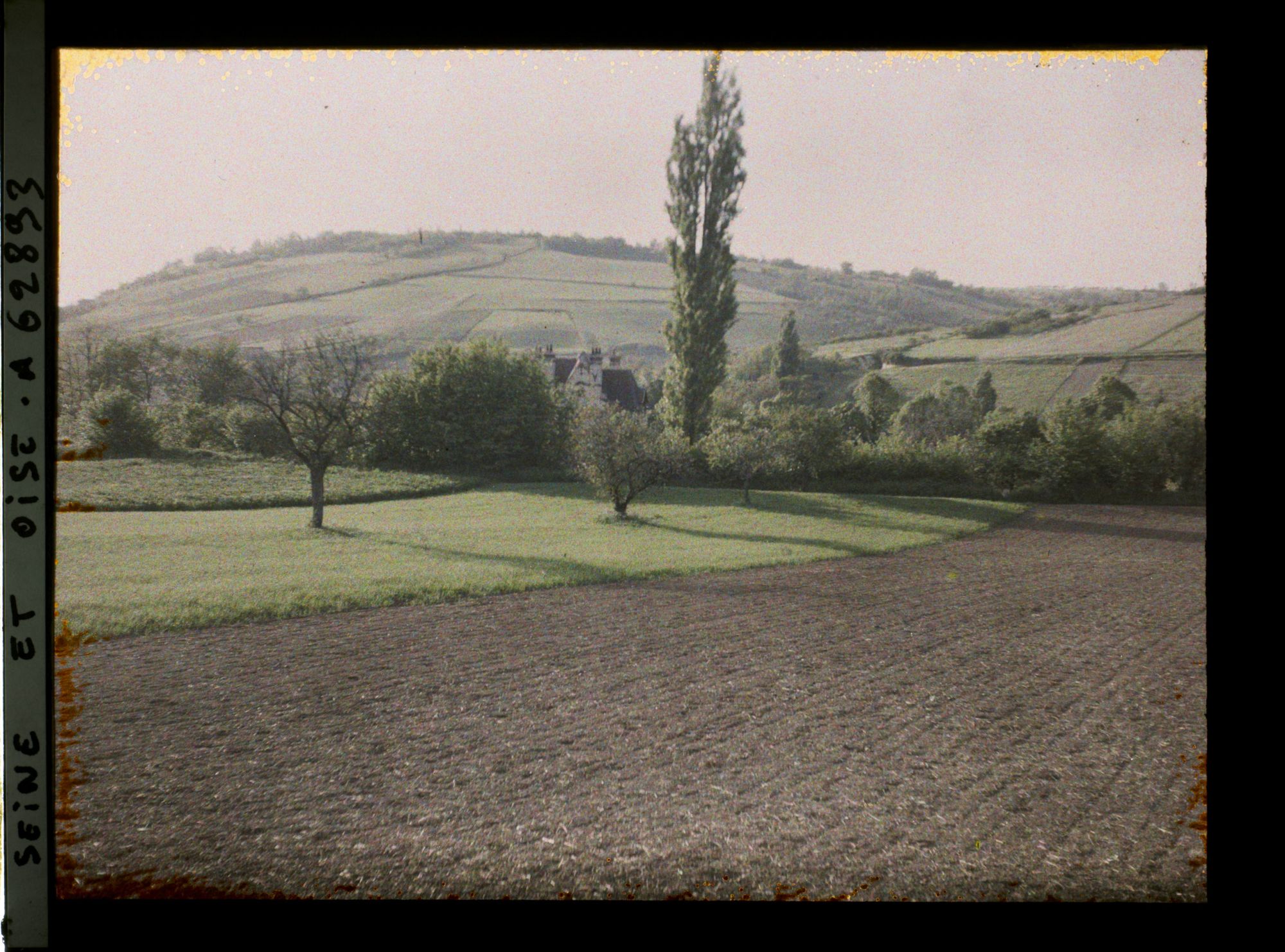 Image représentant Ile de France, Vetheuil, Contre jour sur champ de betteraves non levées