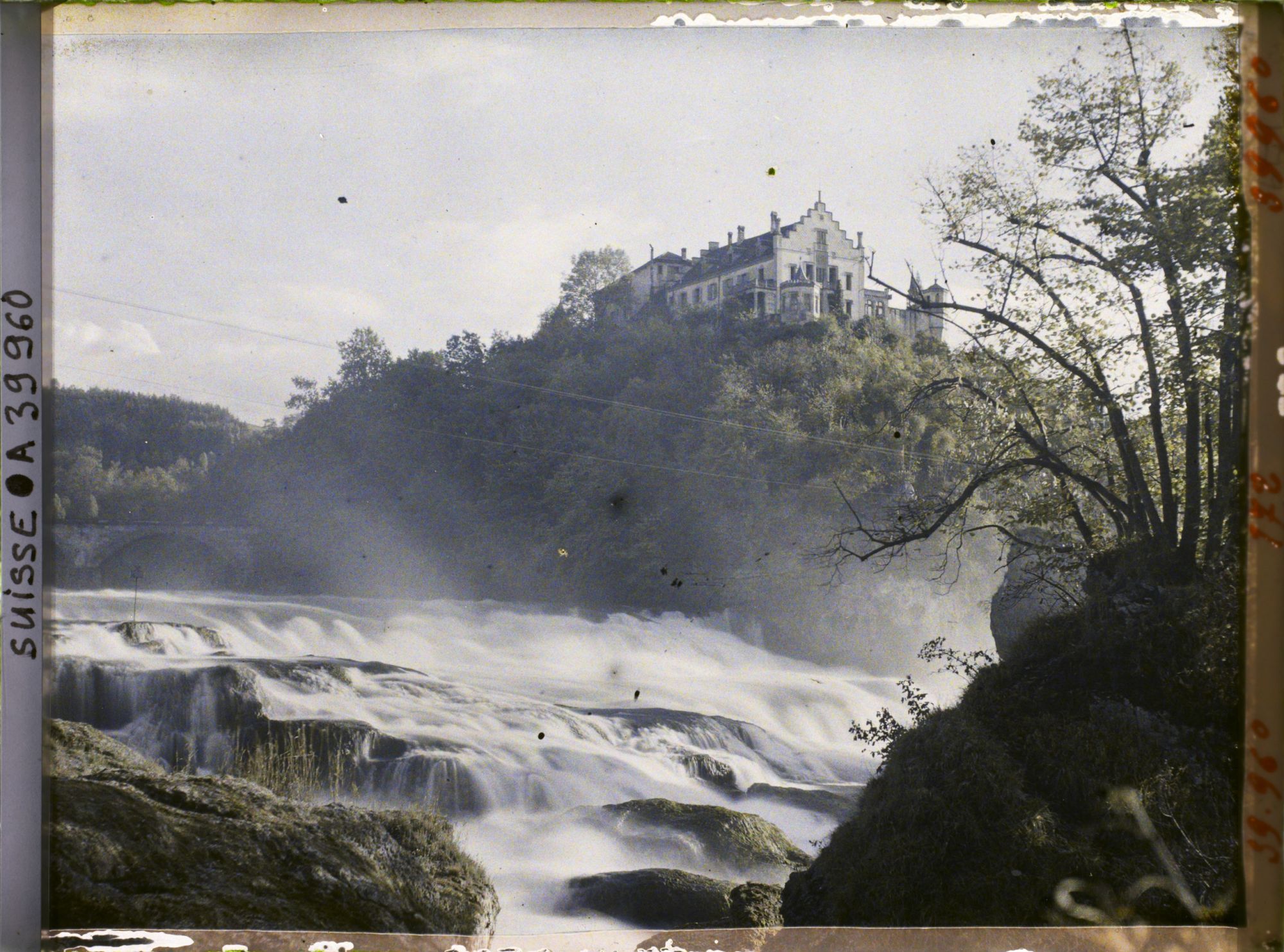Image représentant Les chutes du Rhin et le château de Laufen