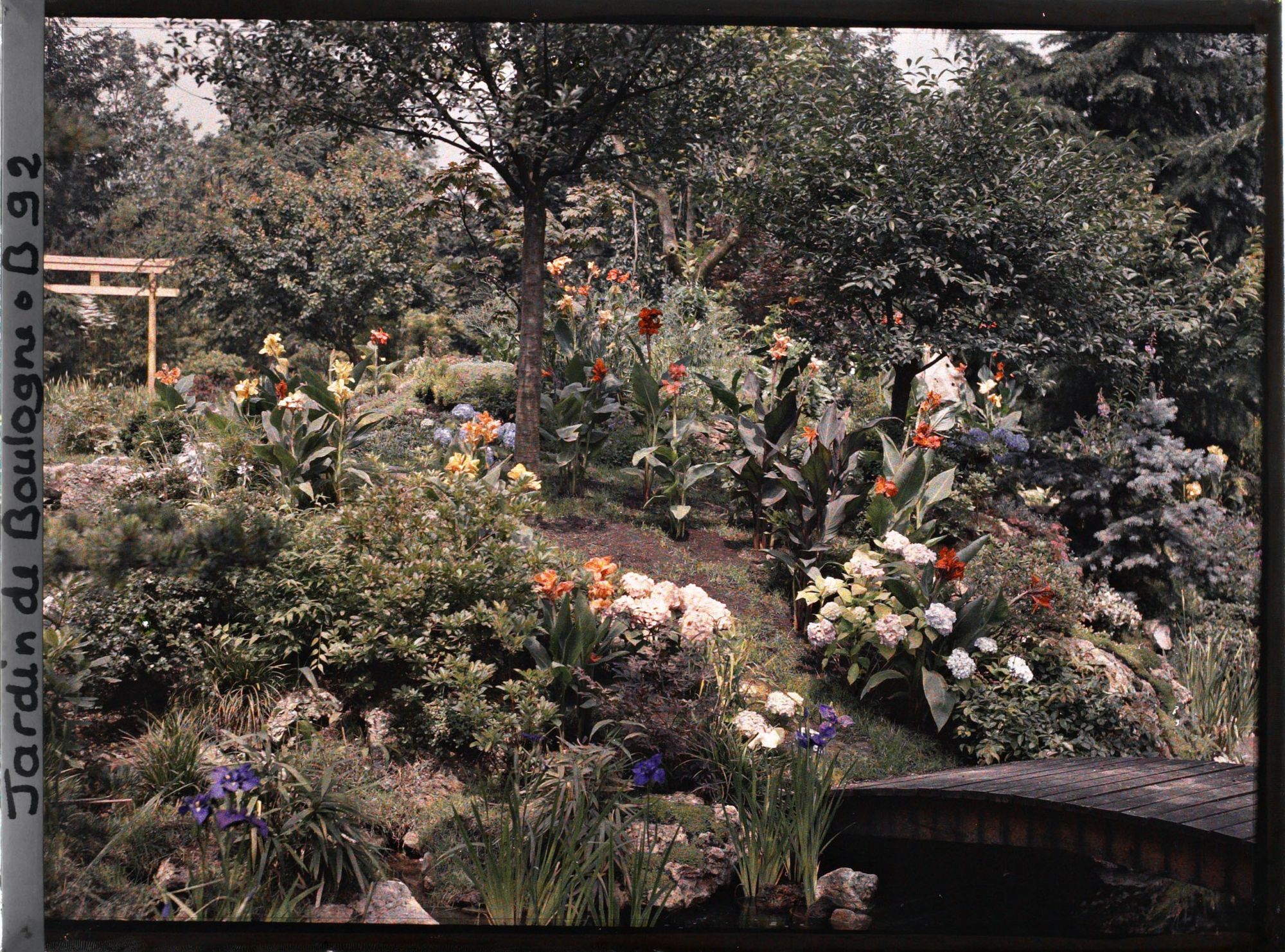 Image représentant Torii du " sanctuaire japonais " au sommet de la rive fleurie d'un cours d'eau