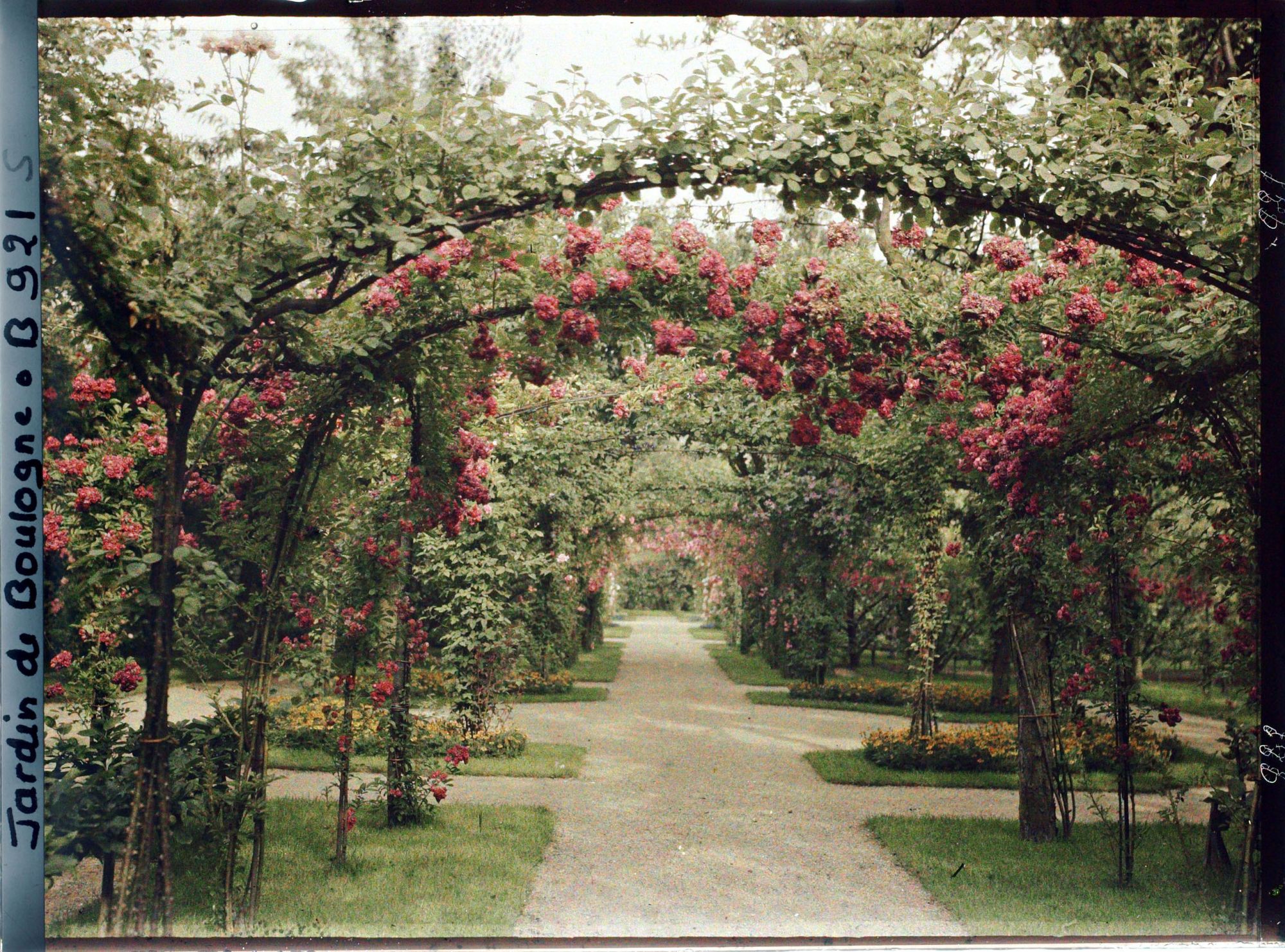 Image représentant Axe central du verger-roseraie vu en direction de la dépendance, à proximité du jardin français