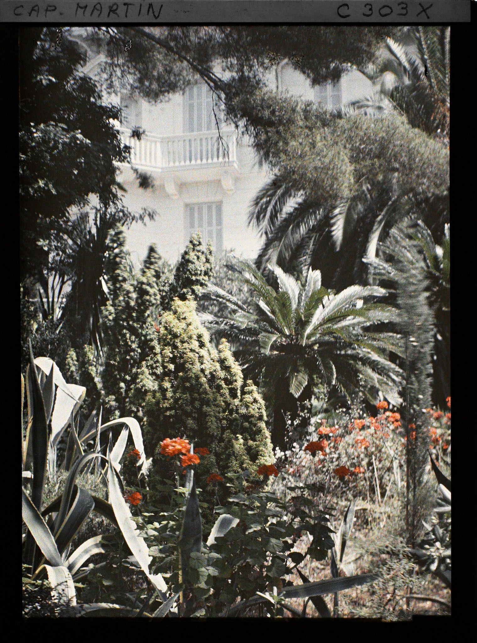 Image représentant La villa Dunure, appartenant à Albert Kahn