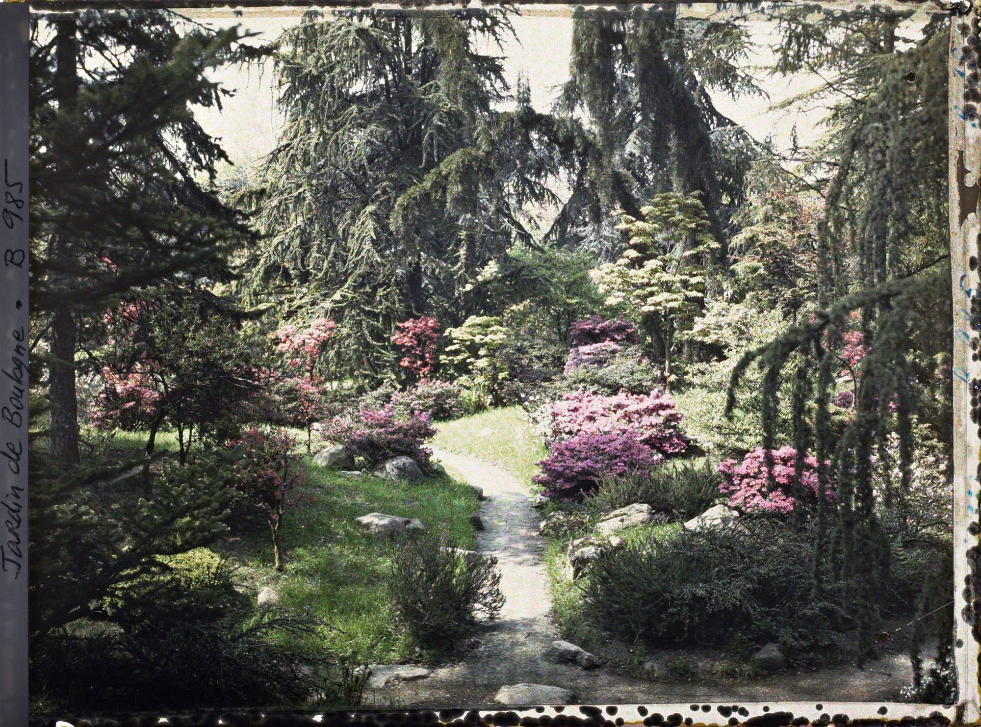 Image représentant Chemin du " sanctuaire japonais " bordé d'érables et d'azalées, à la sortie du " village japonais "