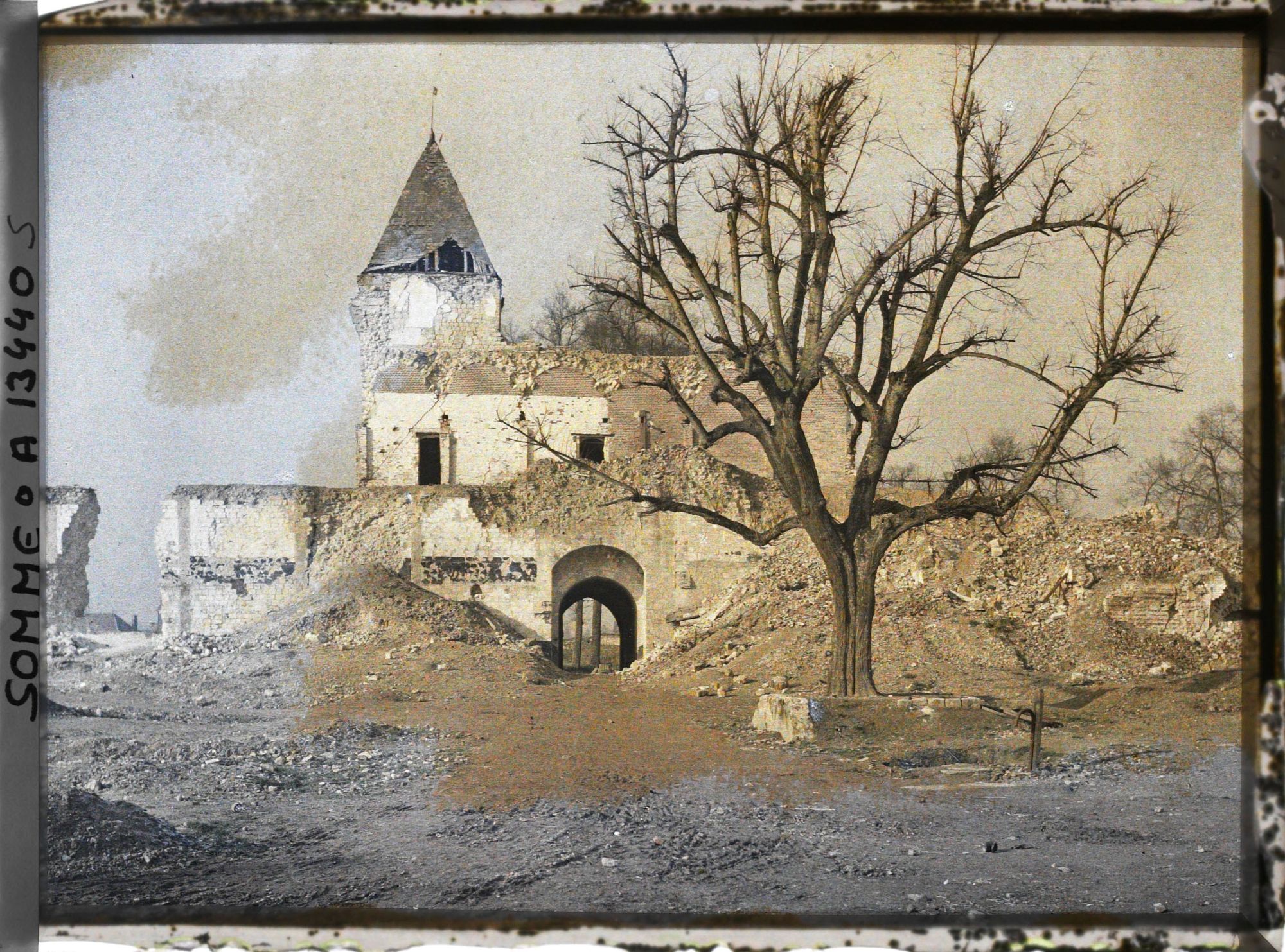 Image représentant France, Ham, L'arbre sous lequel venait se reposer Napoléon III