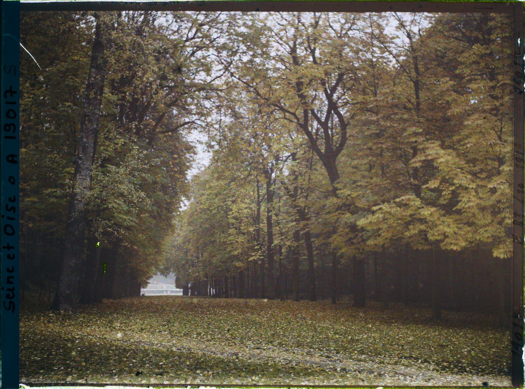 Image représentant L'allée de la Félicité dans le parc?