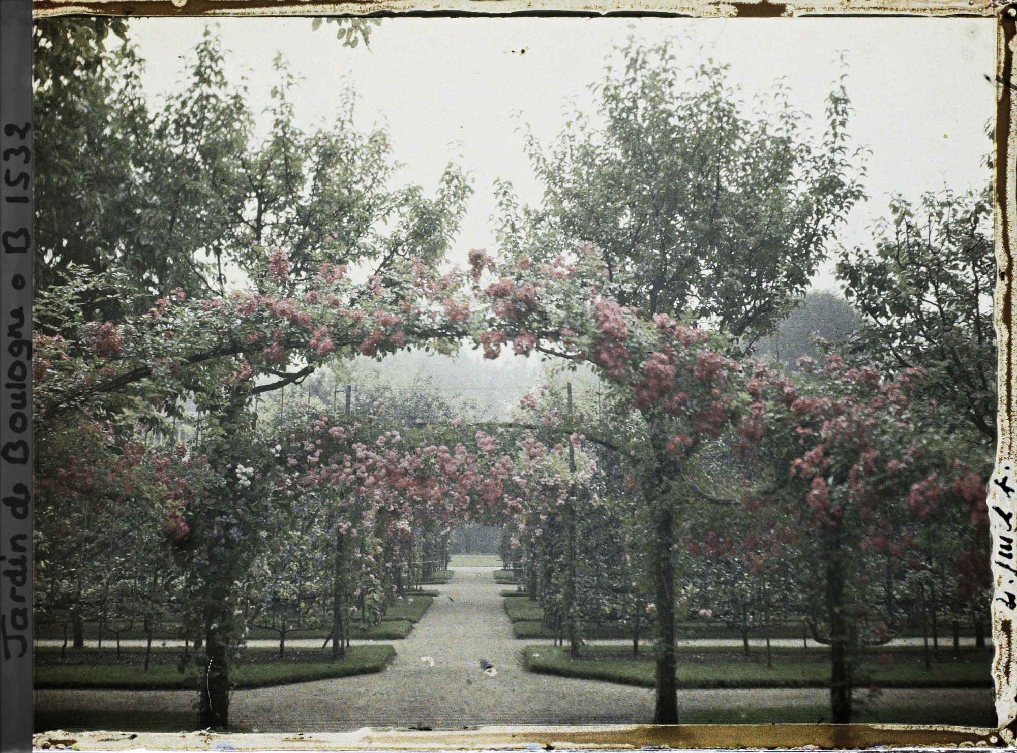 Image représentant Axe central du verger-roseraie vu vers le jardin anglais, depuis le second carrefour côté dépendance