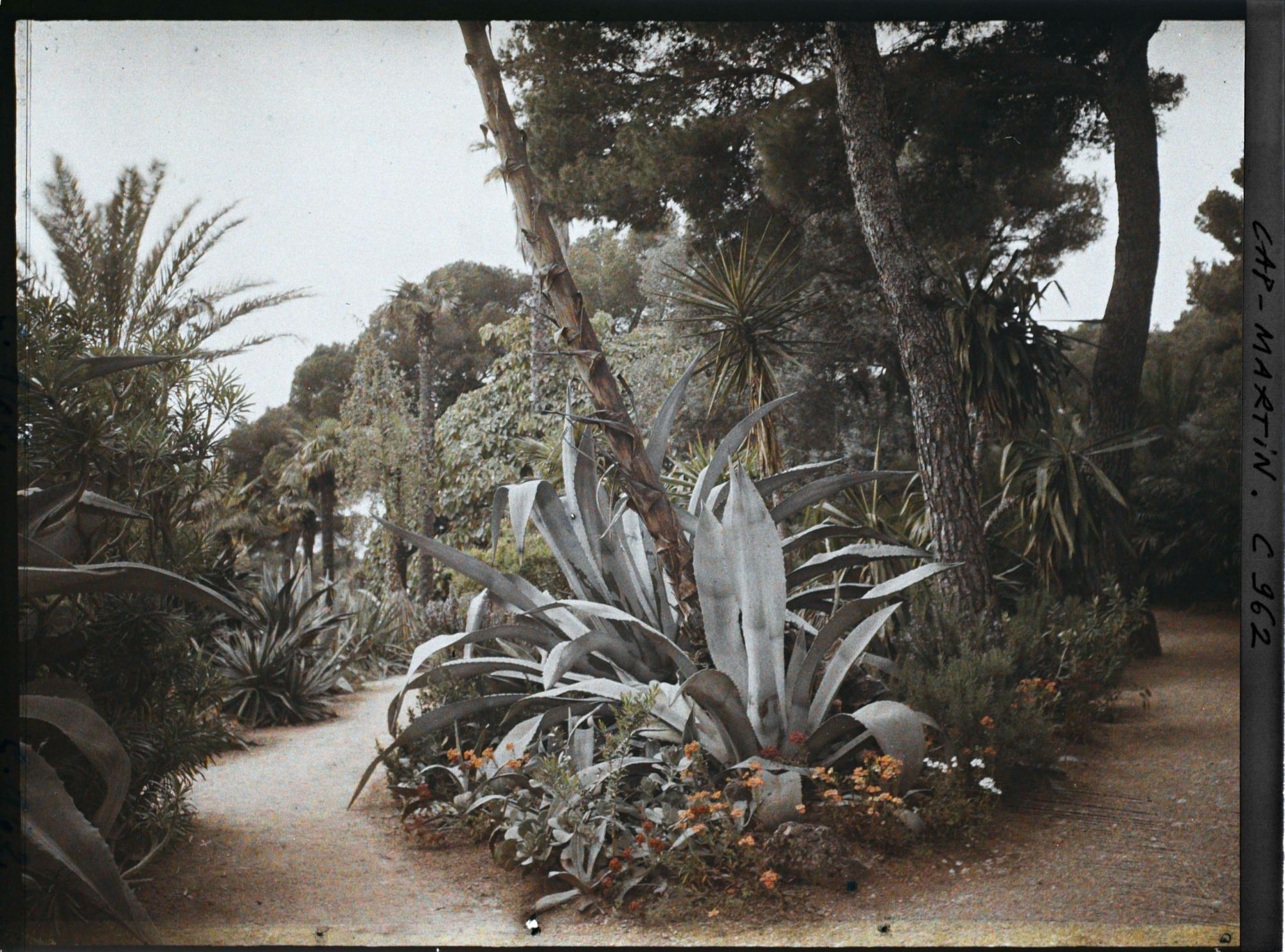 Image représentant Le Jardin