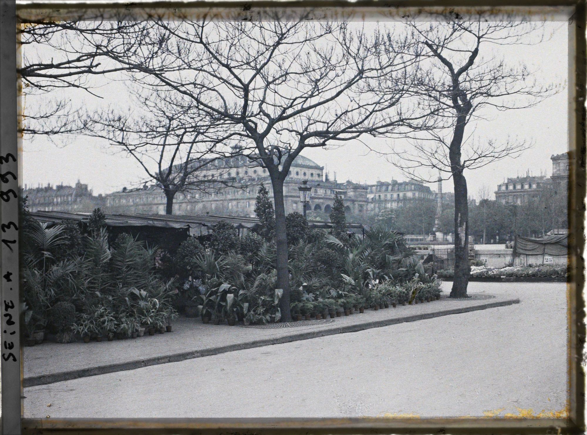 Image représentant Le marché aux fleurs sur l'île de la Cité, place Louis-Lépine
