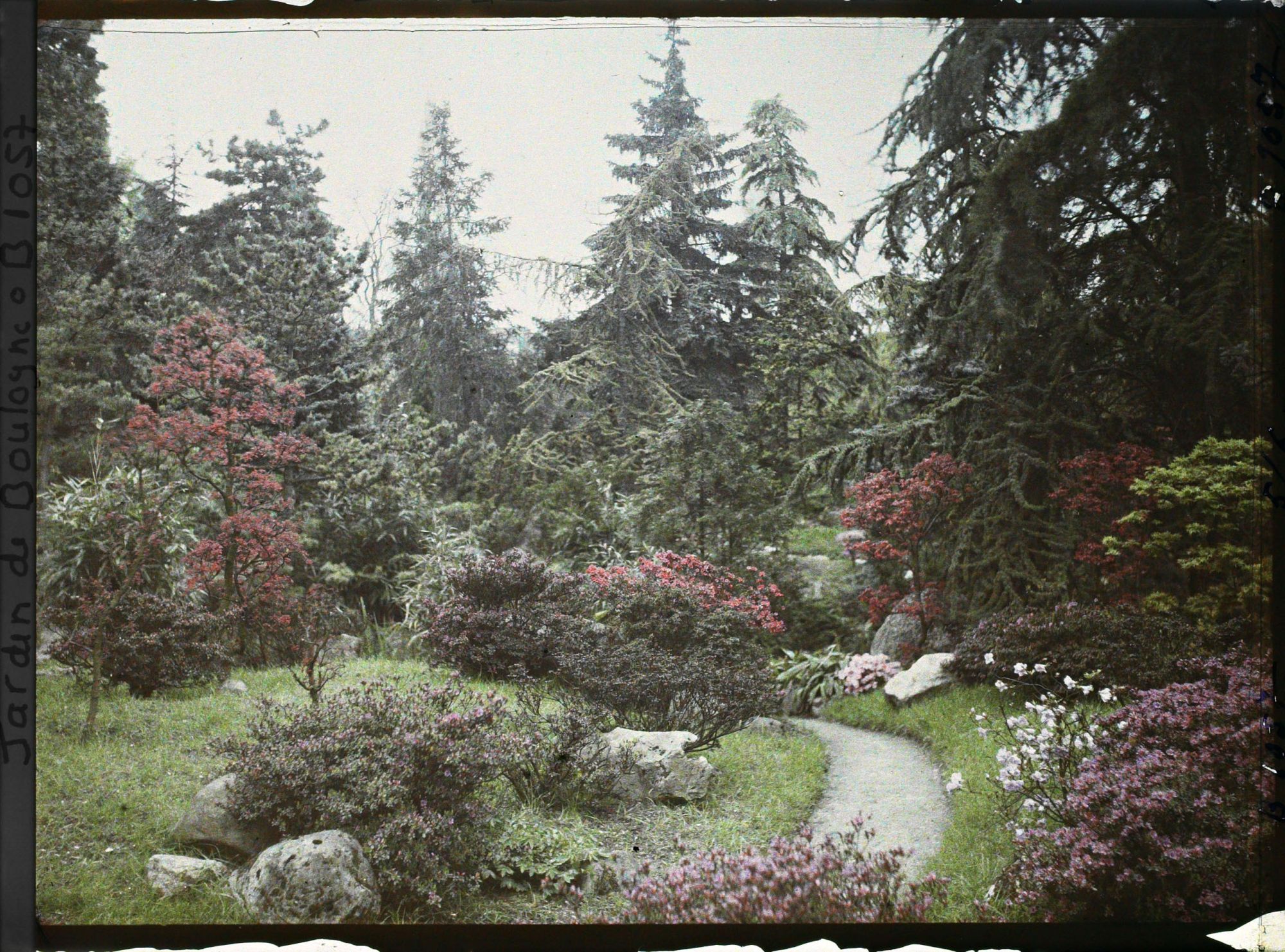 Image représentant Chemin du " sanctuaire japonais " bordé d'érables et d'azalées, à la sortie du " village japonais "