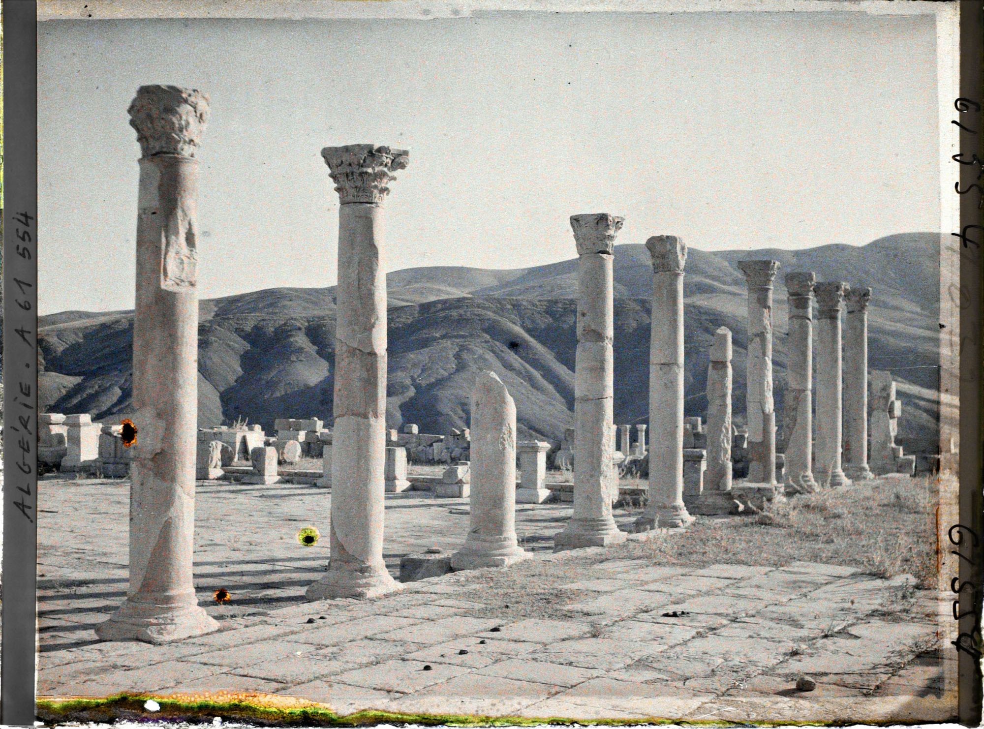 Image représentant Les Colonnades de l'ancien Forum, vestiges de la cité antique Cuicul