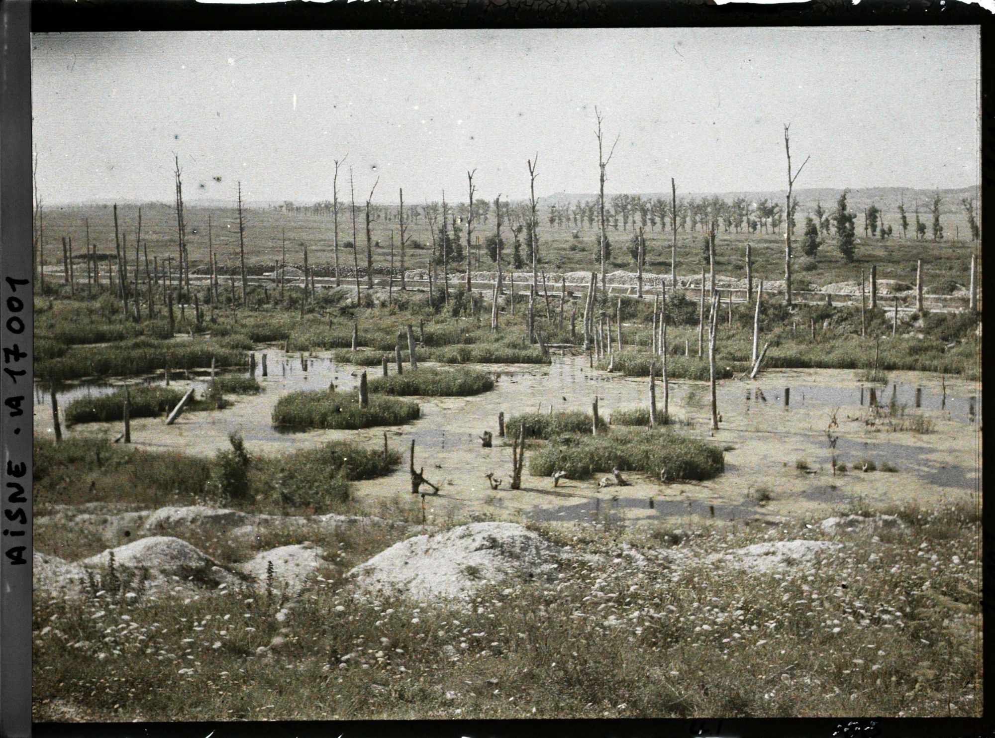 Image représentant France, Les Marais de la Cote 108 et les arbres déchiquetés