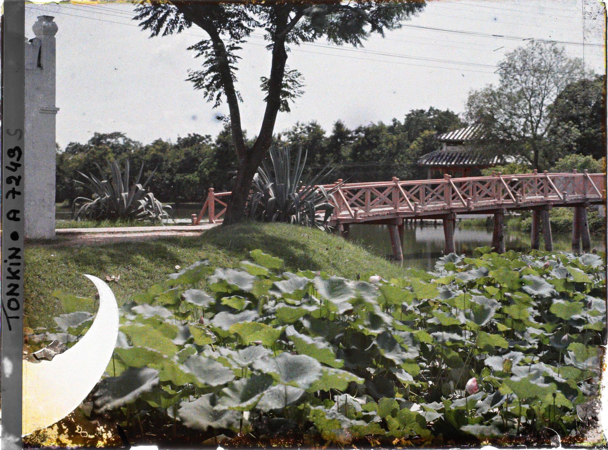 Image représentant La passerelle conduisant au temple Ngoc-s'on (appelé par les Européens "Pagode des Pinceaux"), situé sur "l'île de Jade" du Petit Lac couvert de lotus