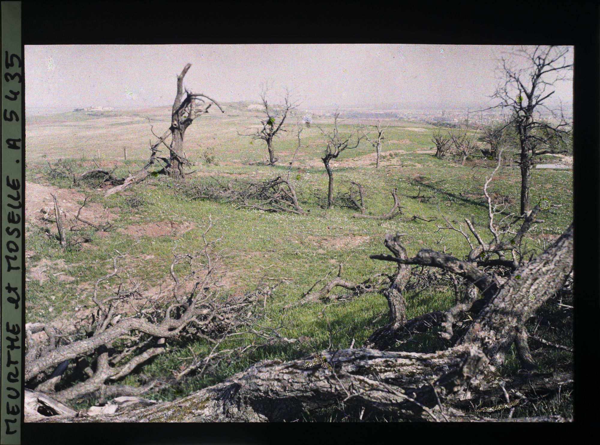 Image représentant France, Léomont, Arbres au 1er plan et sur la gauche la ferme de Frescat.
