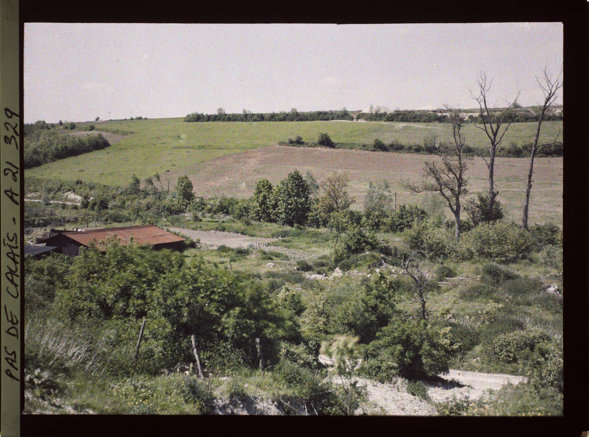 Image représentant France, Carency, Champs remis en Culture