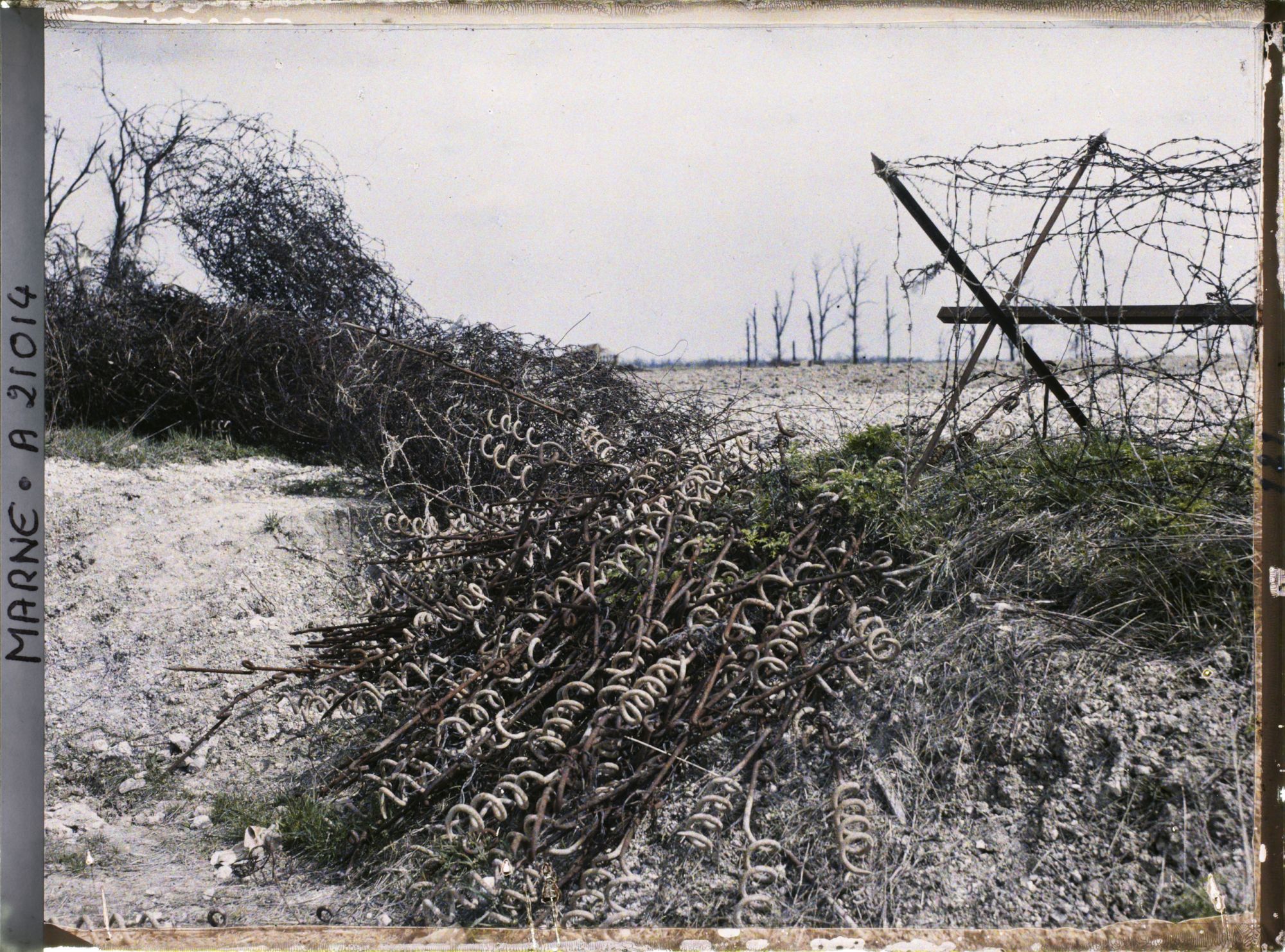 Image représentant France, Courcy, Réseaux enlevés des Champs