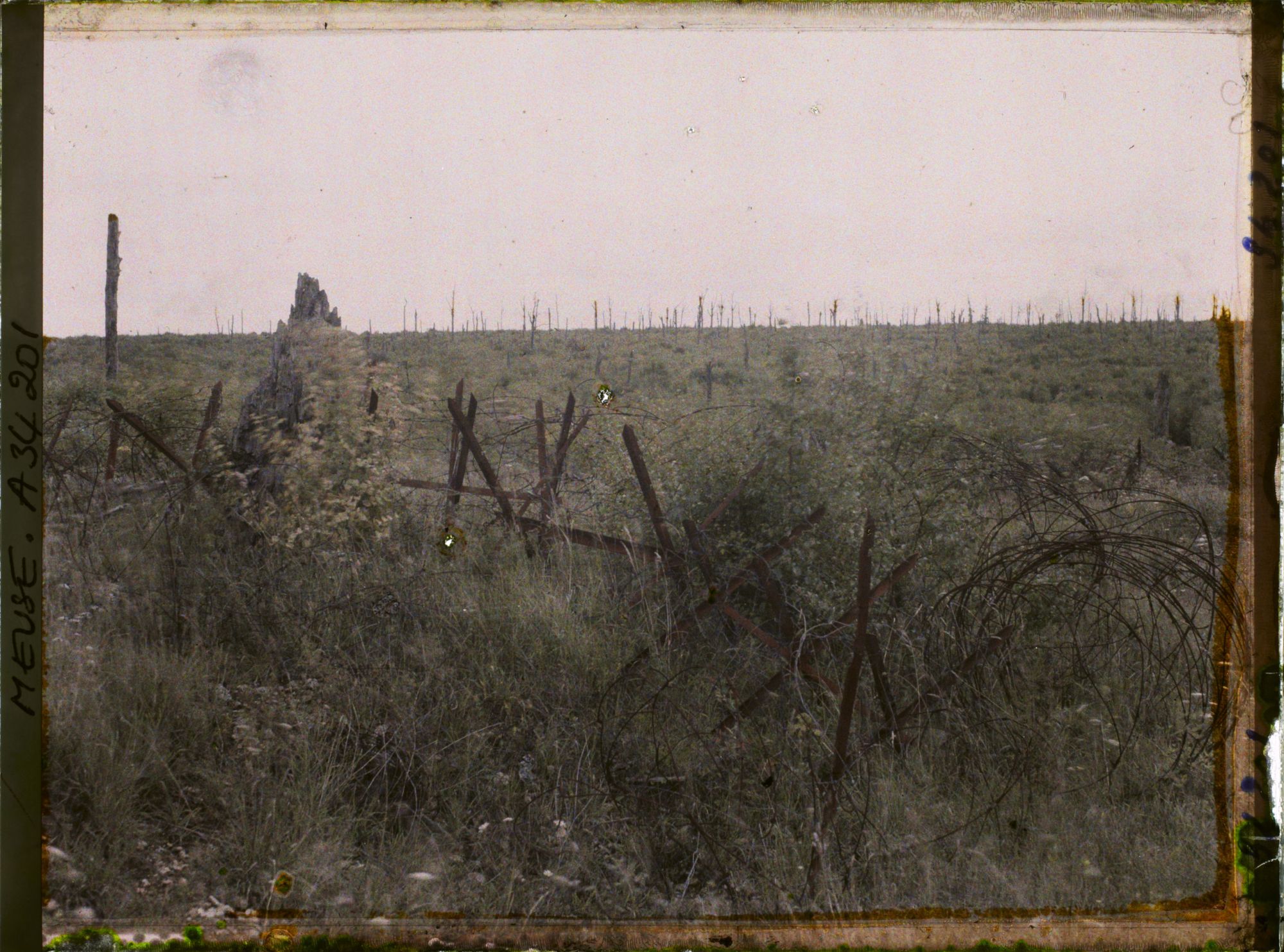 Image représentant France, La Tête à Vache, Le bois de la Louvière vu de la Tête à Vache