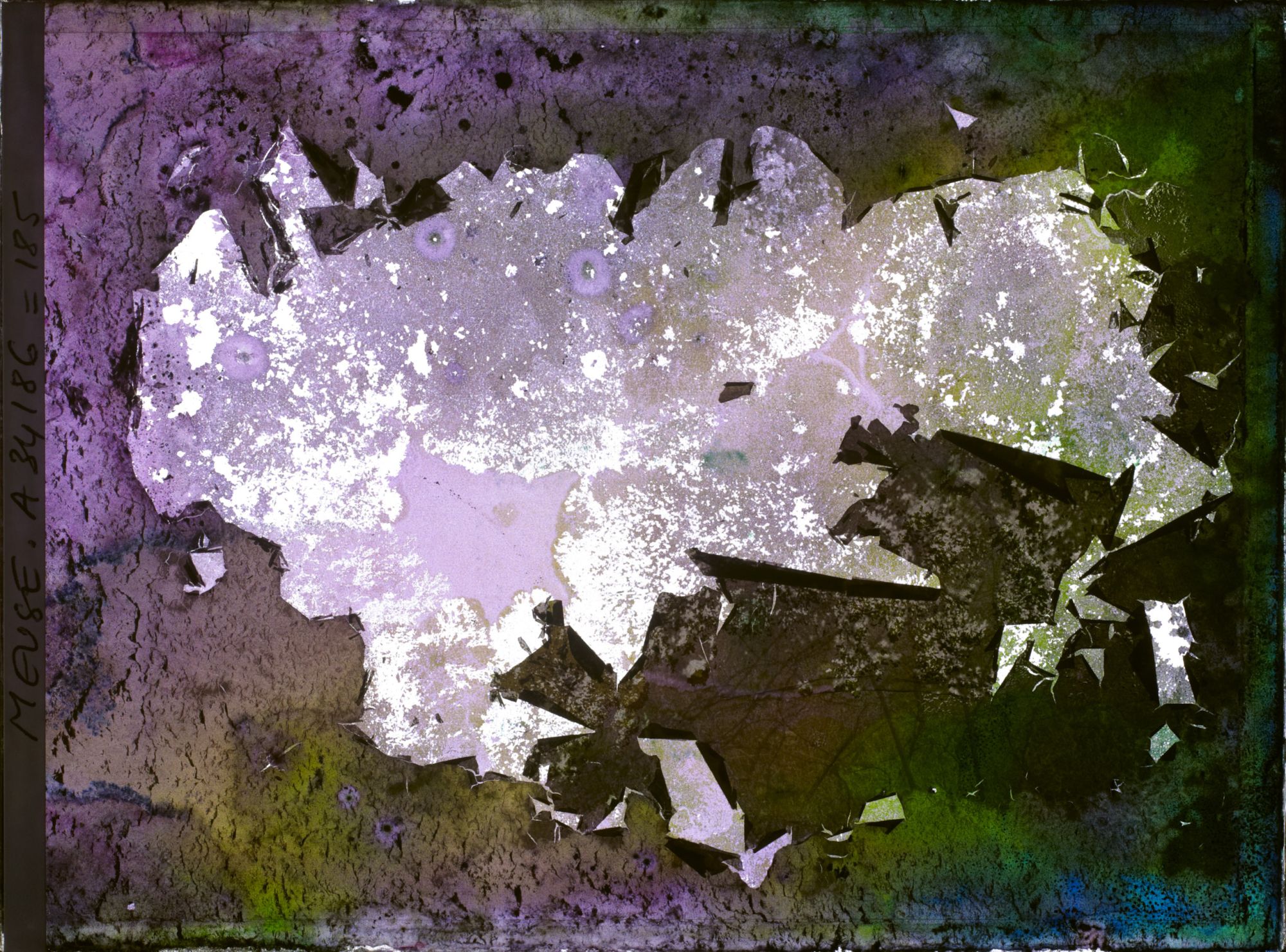 Image représentant France, Bois-Yuca, Défenses à la lisière du bois vers le ravin d'Apremont et le bois de la Corvée des Prêtres