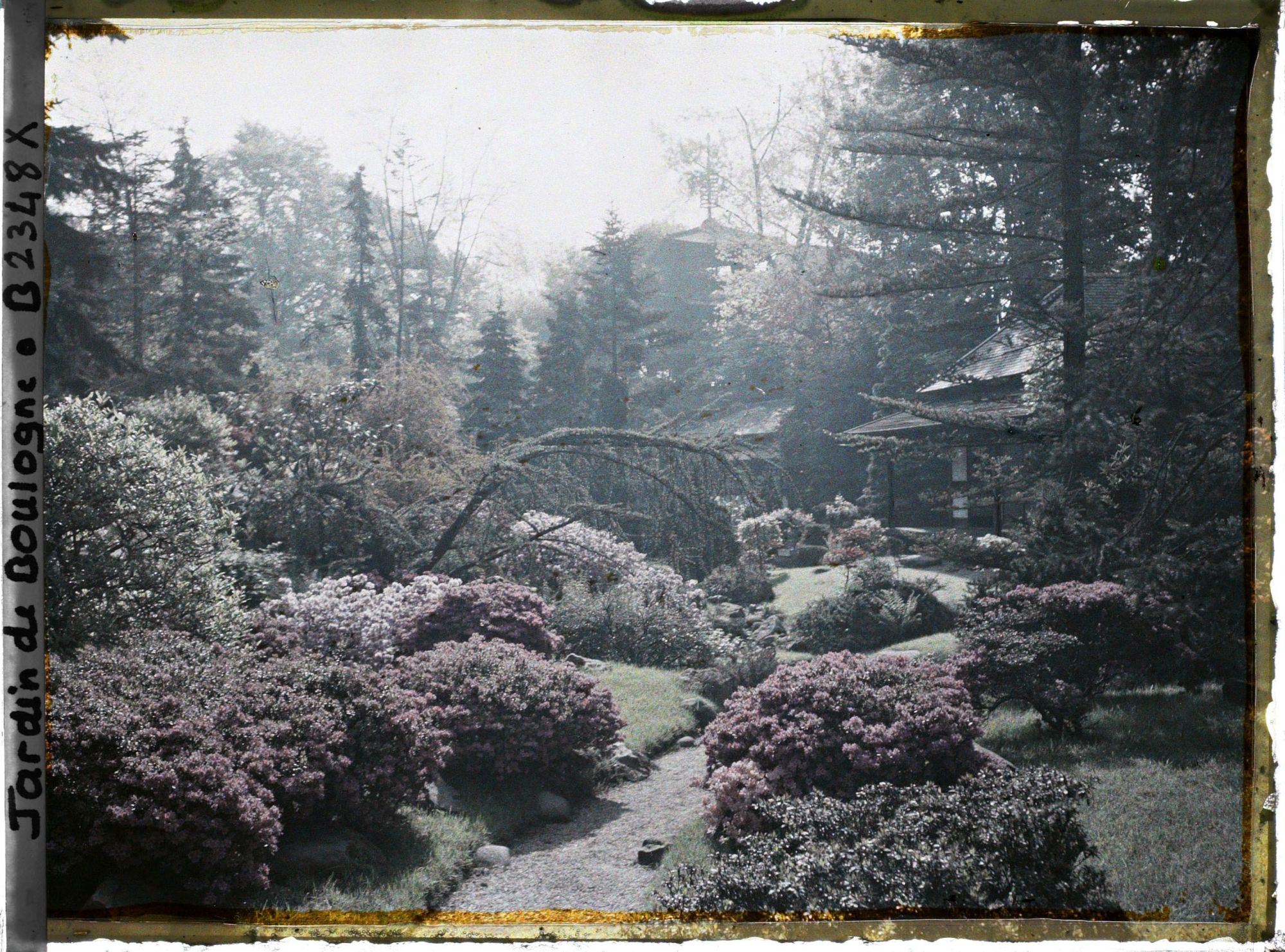 Image représentant Étroit chemin fleuri d'azalées menant à la maison ouest du " village japonais "
