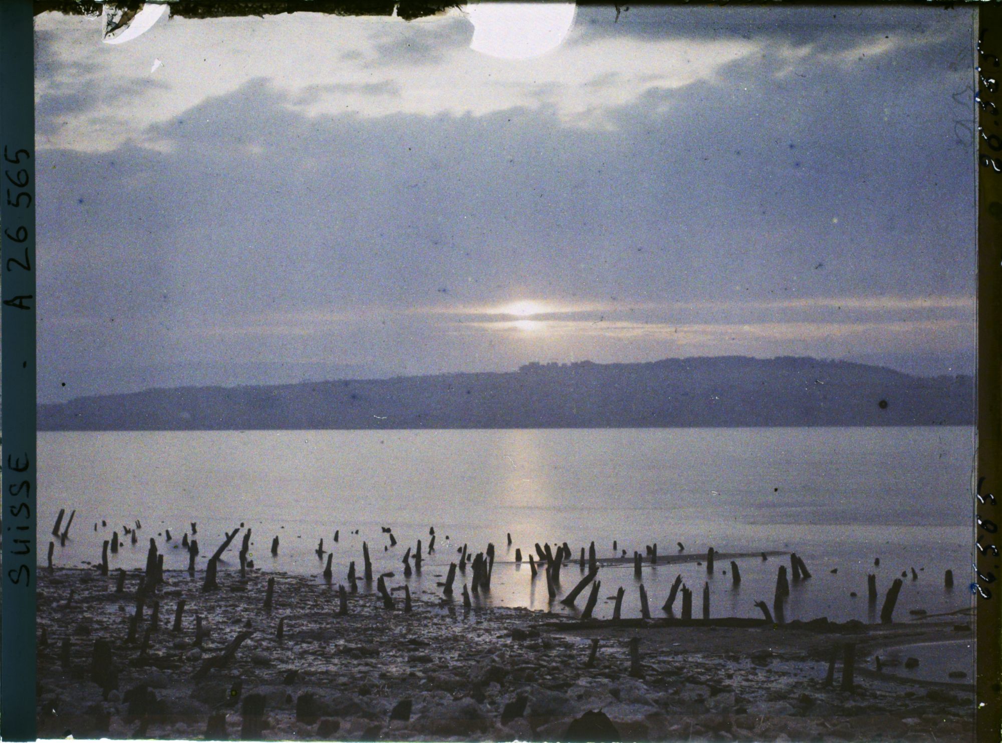 Image représentant Site palafittique préhistorique des Alpes, pieux en bois visibles lors de la baisse des eaux après la grande sécheresse de 1921. Coucher de soleil sur le lac de Morat