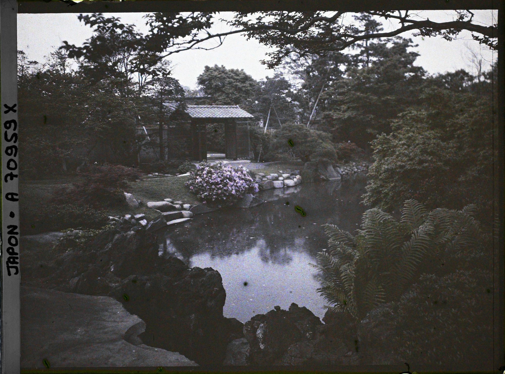 Image représentant Jardin d'une résidence