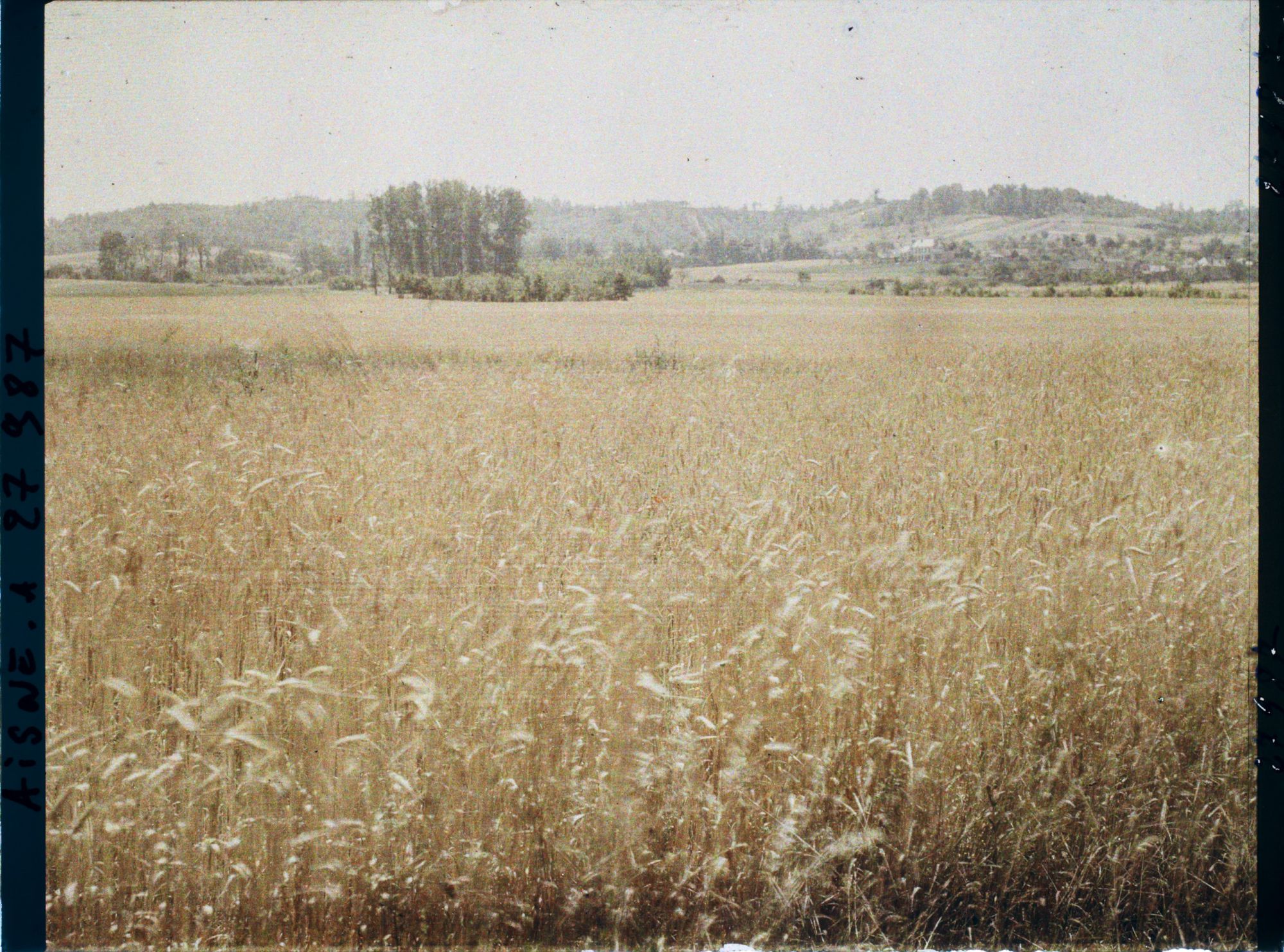 Image représentant France, Cery-Salsogne, Champ de blé sous le Village