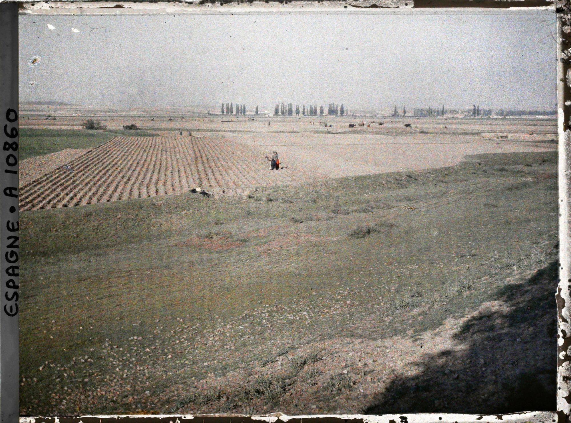 Image représentant Espagne, Astorga, La Culture de la vigne près d'Astorga, (Dry farming)