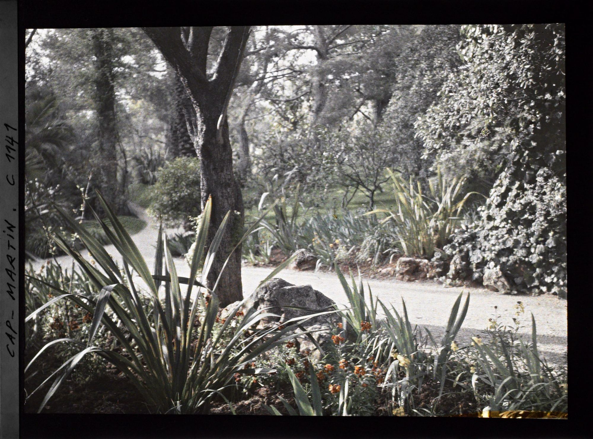 Image représentant le Jardin