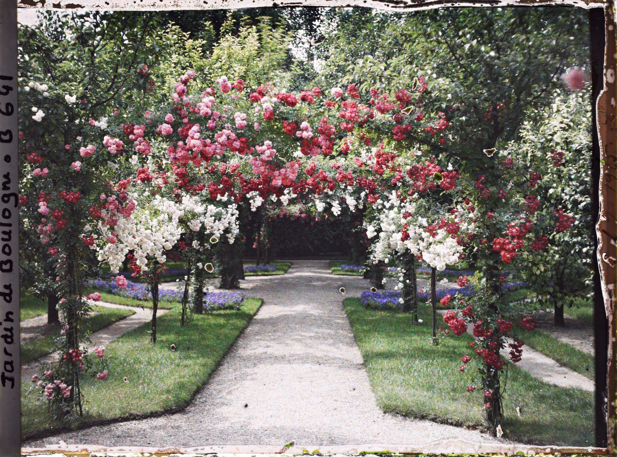 Image représentant Axe central du verger-roseraie vu depuis le second carrefour avant la dépendance