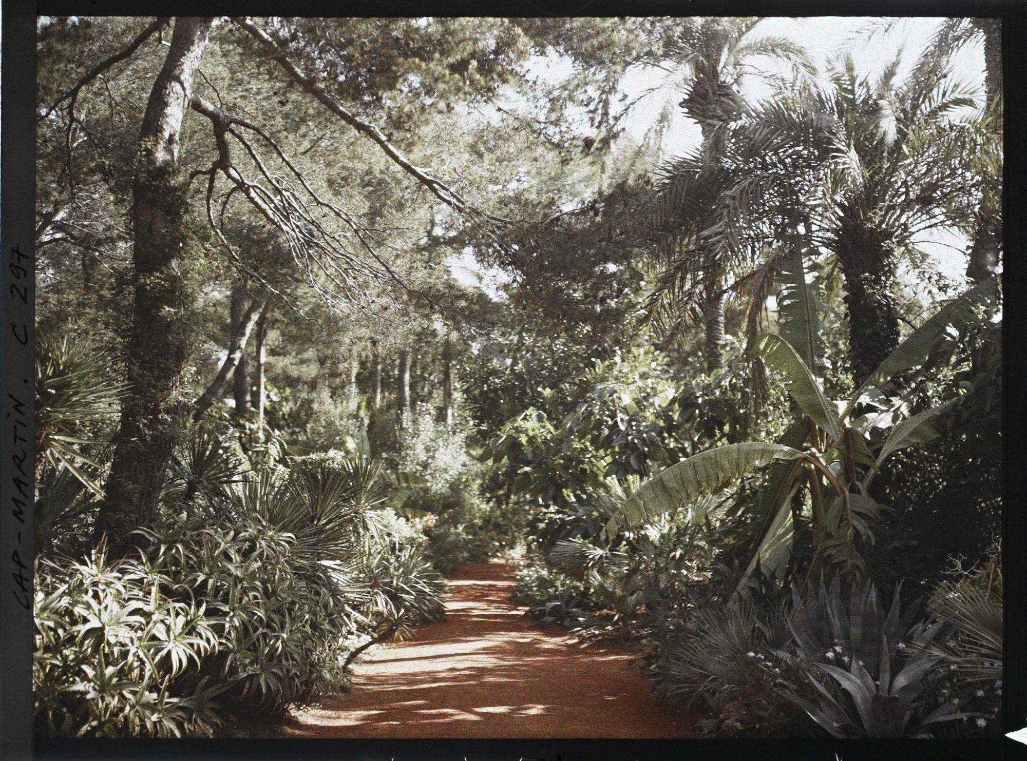 Image représentant Cap-Martin - Le Jardin