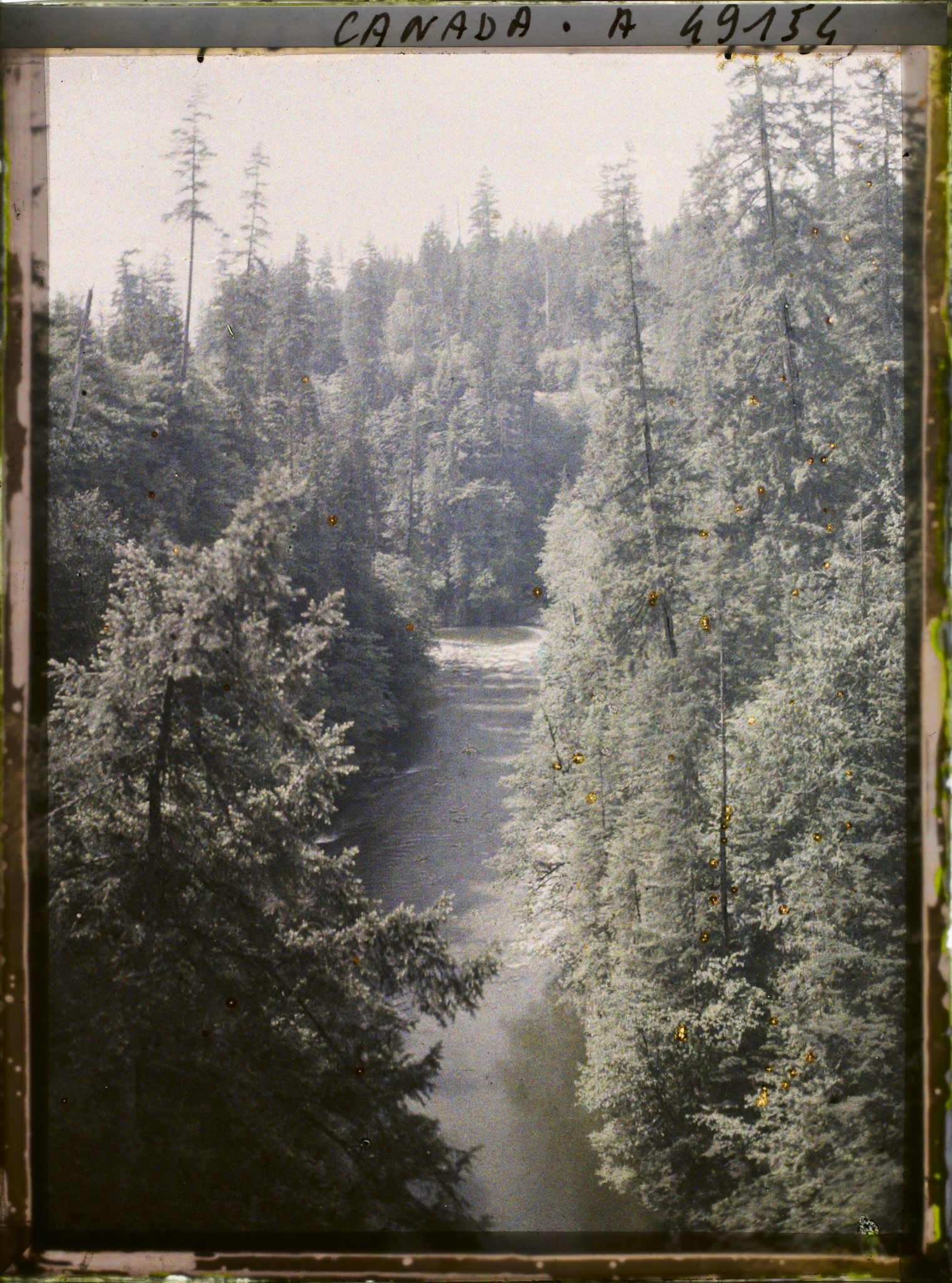 Image représentant Canada, Vancouver, Capilane Canyon, Le 1er Canyon amont