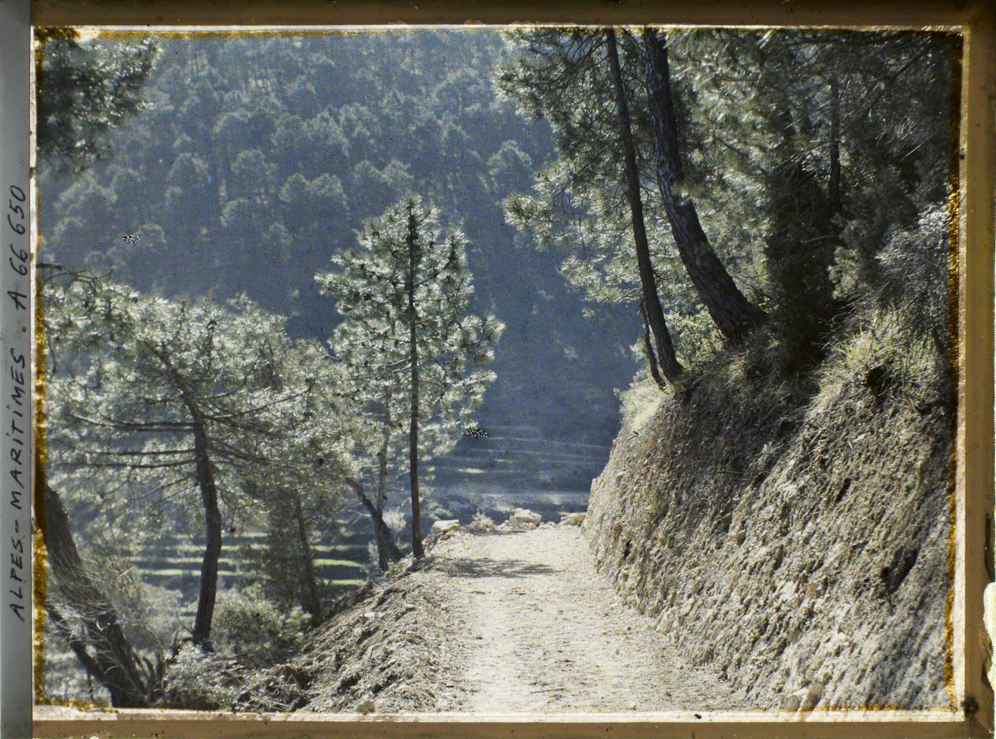 Image représentant Sur la route de Gorbio