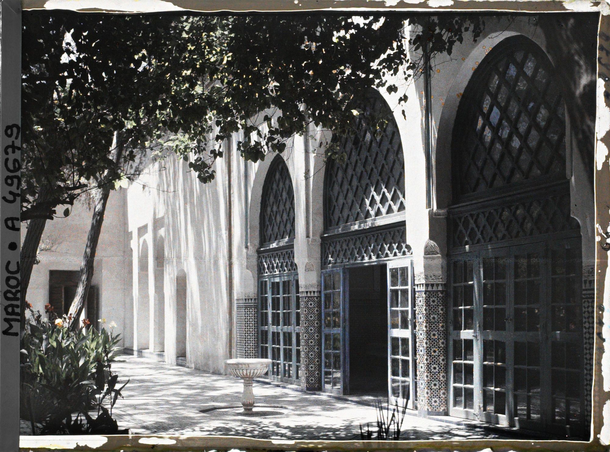Image représentant Partie du jardin andalou du Palais de la Bahia