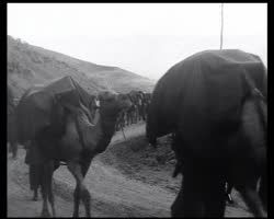 Image représentant La relève des troupes britanniques dans l'Anti-Liban