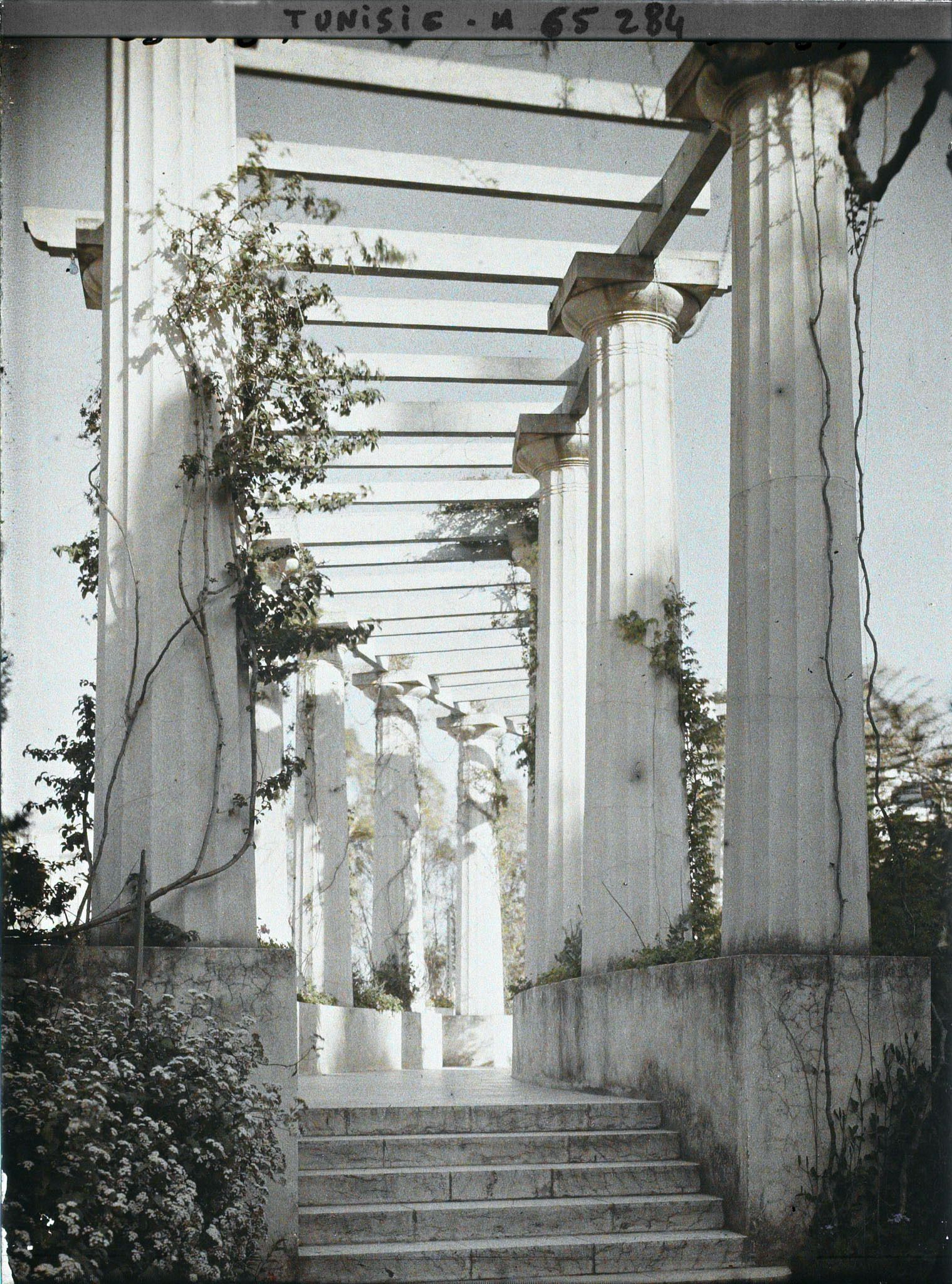 Image représentant La pergola du palais d'été du résident général