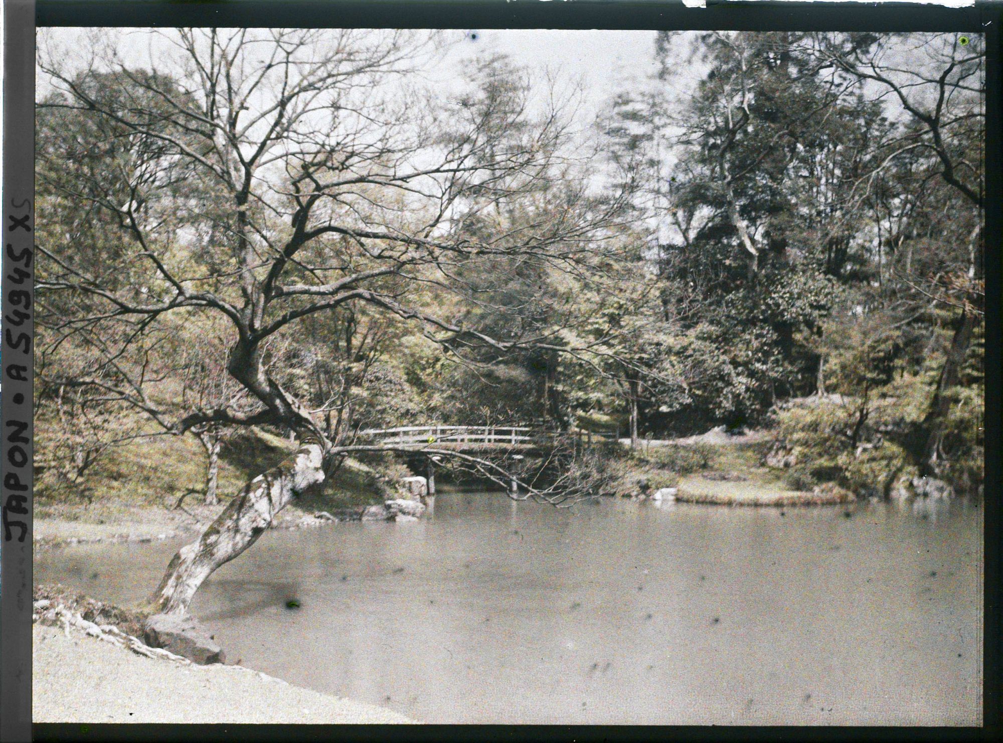 Image représentant Le palais impérial Sento (Sento-gosho) : le Momiji-bashi