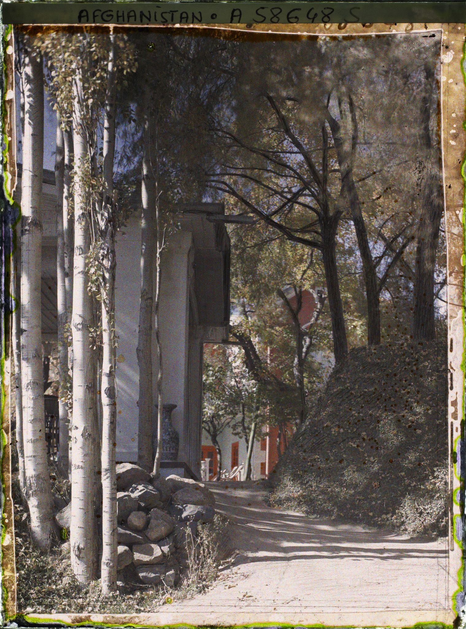 Image représentant Afghanistan, Paghman, Jardin du Palais du Roi - Allée dans le Jardin