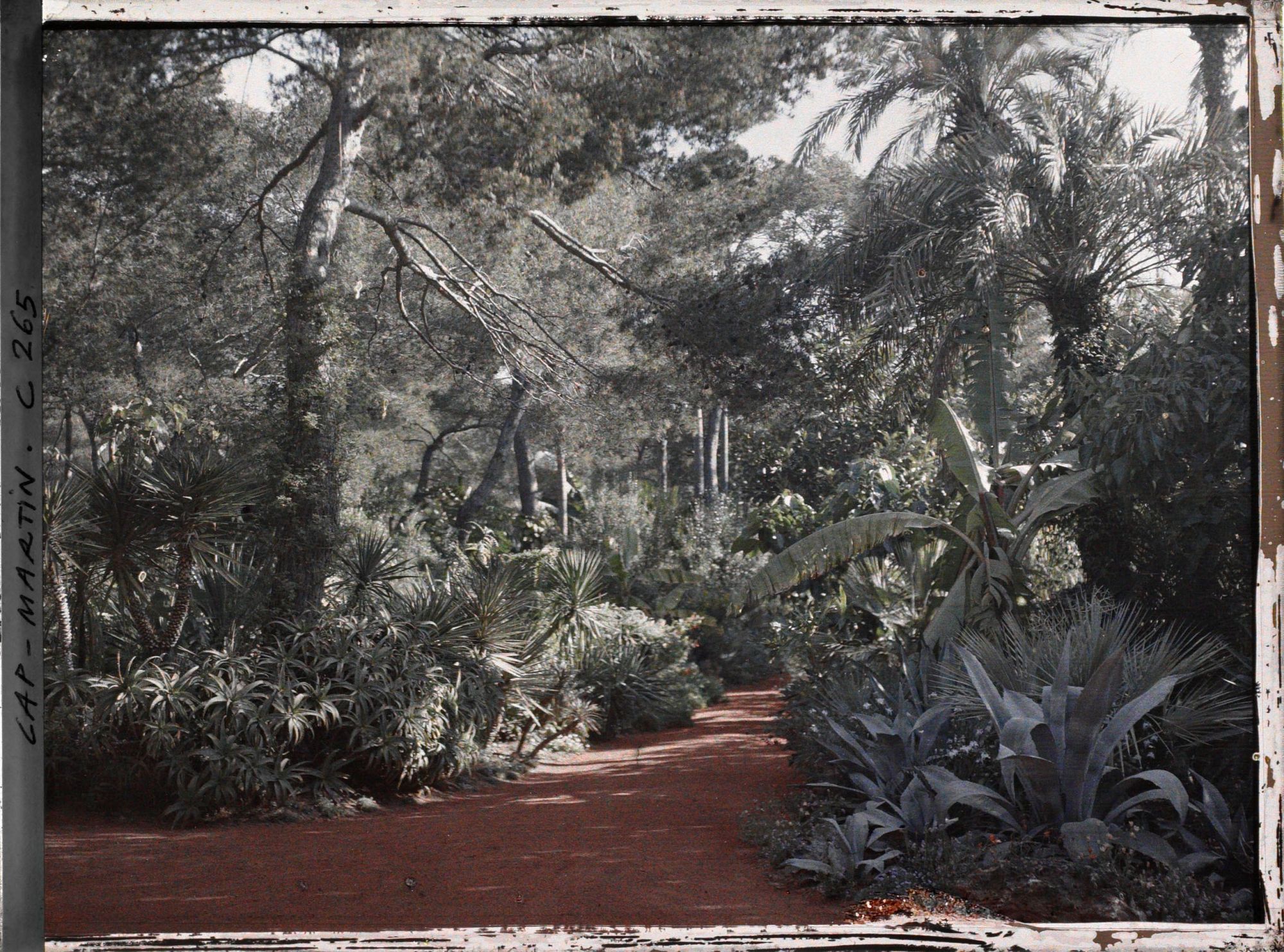 Image représentant Cap-Martin - Le Jardin