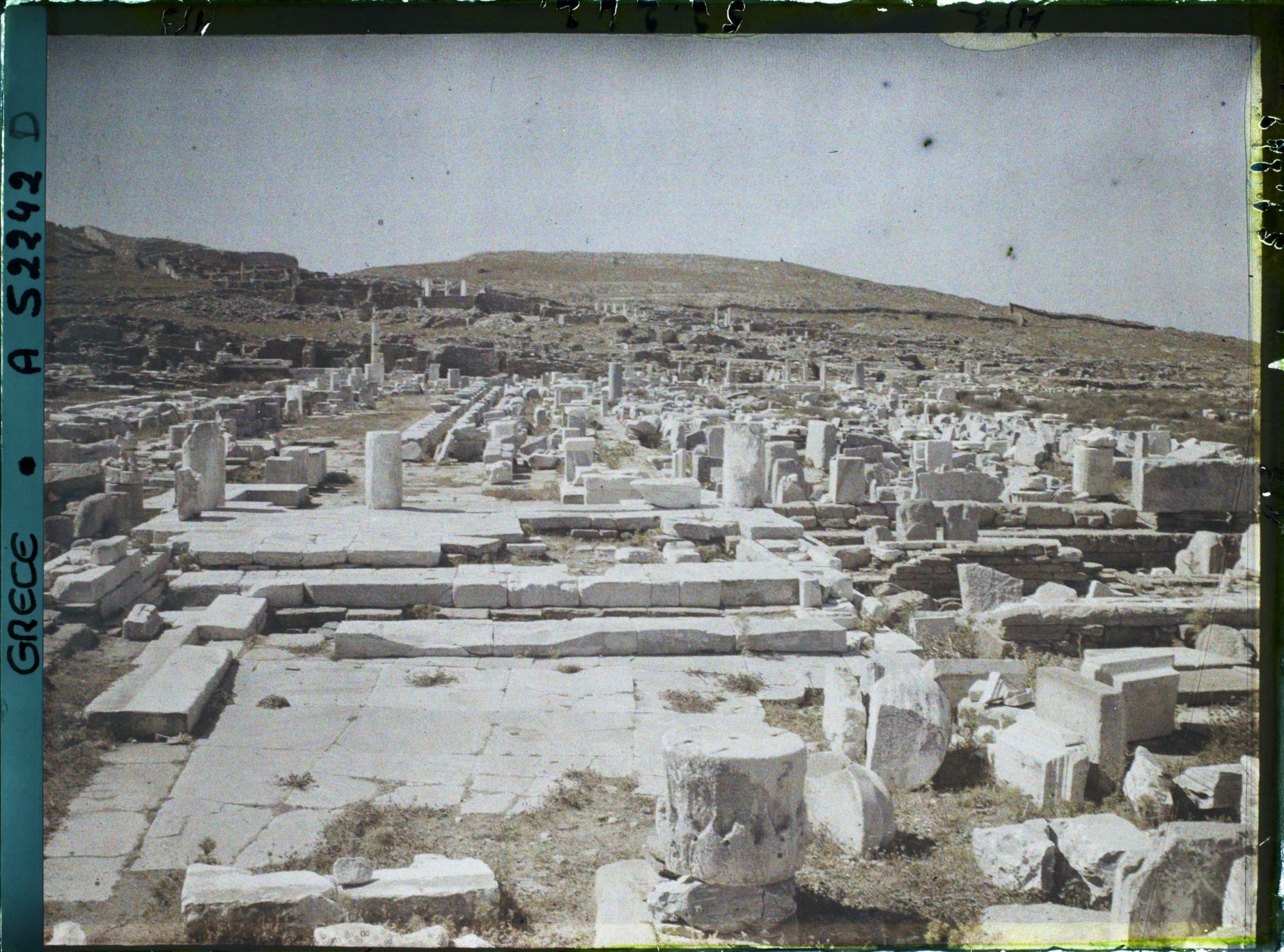 Image représentant Grèce, Delos, Ensemble sur les Propylées et l'Avenue des Processions